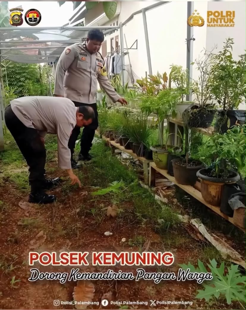 Lahan 150 Meter Persegi Warga Kemuning Dimanfaatkan untuk Budidaya Cabai dan Terong