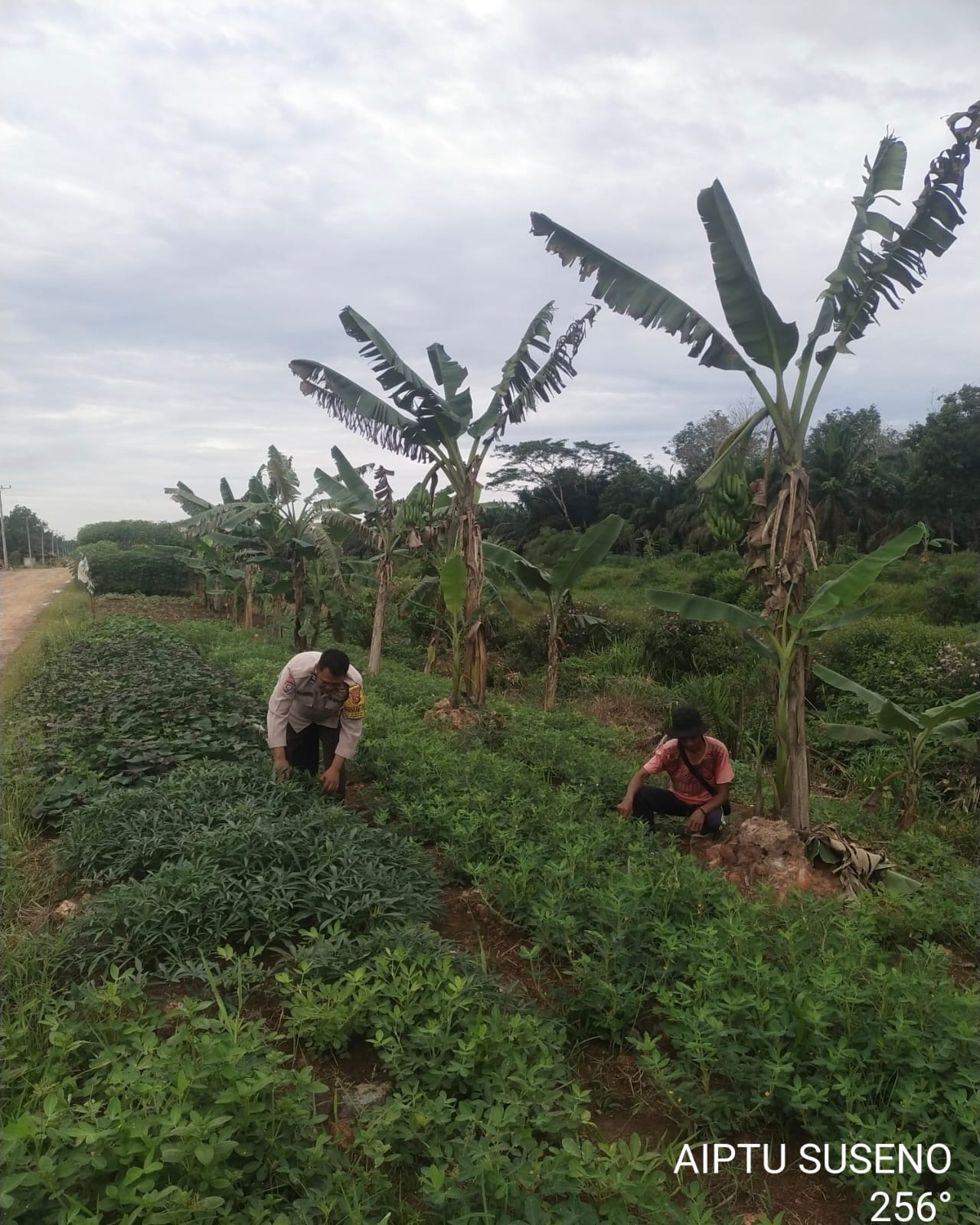 Kebun Kopi Terbakar Akibat Bara Api, Polisi Beri Teguran Keras dan Kedepankan Penindakan dengan Hati Nurani