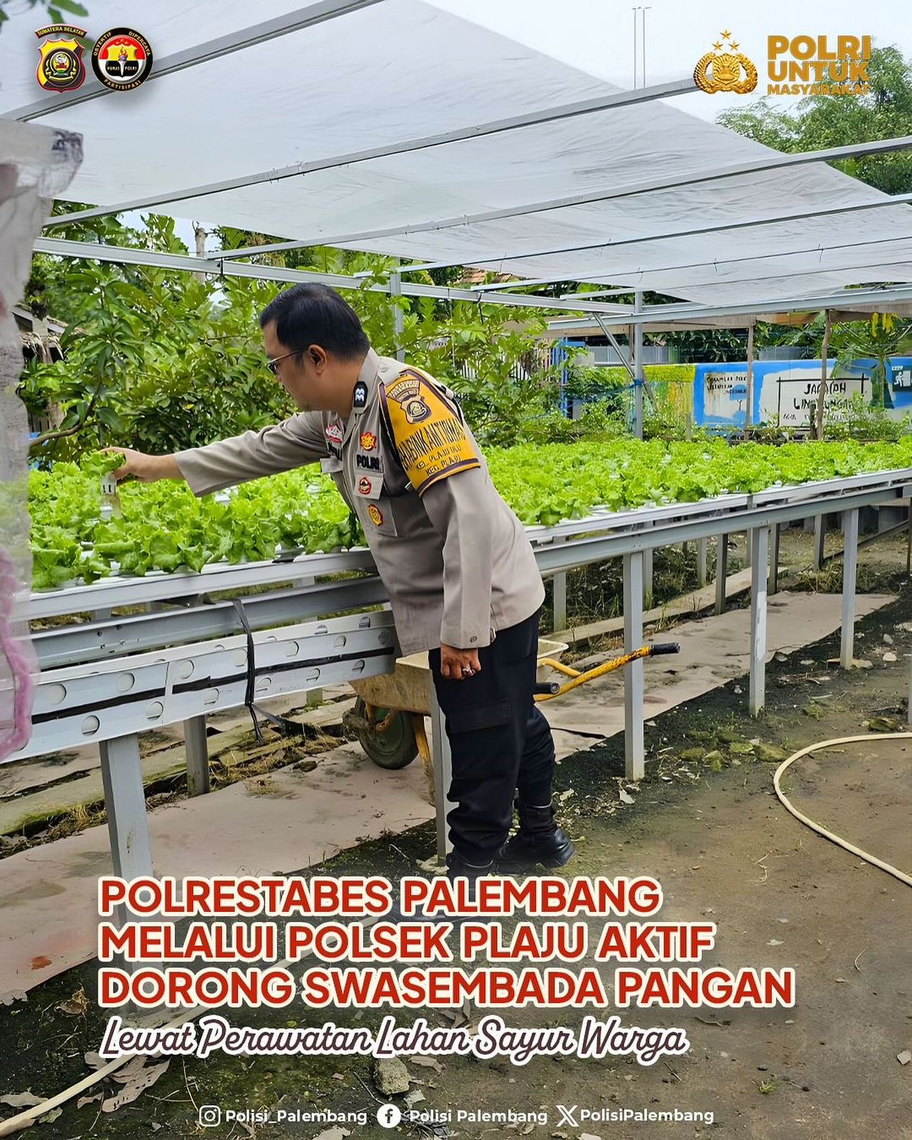 Dari Pekarangan untuk Ketahanan Pangan, Polsek Plaju Aktif Dampingi Warga