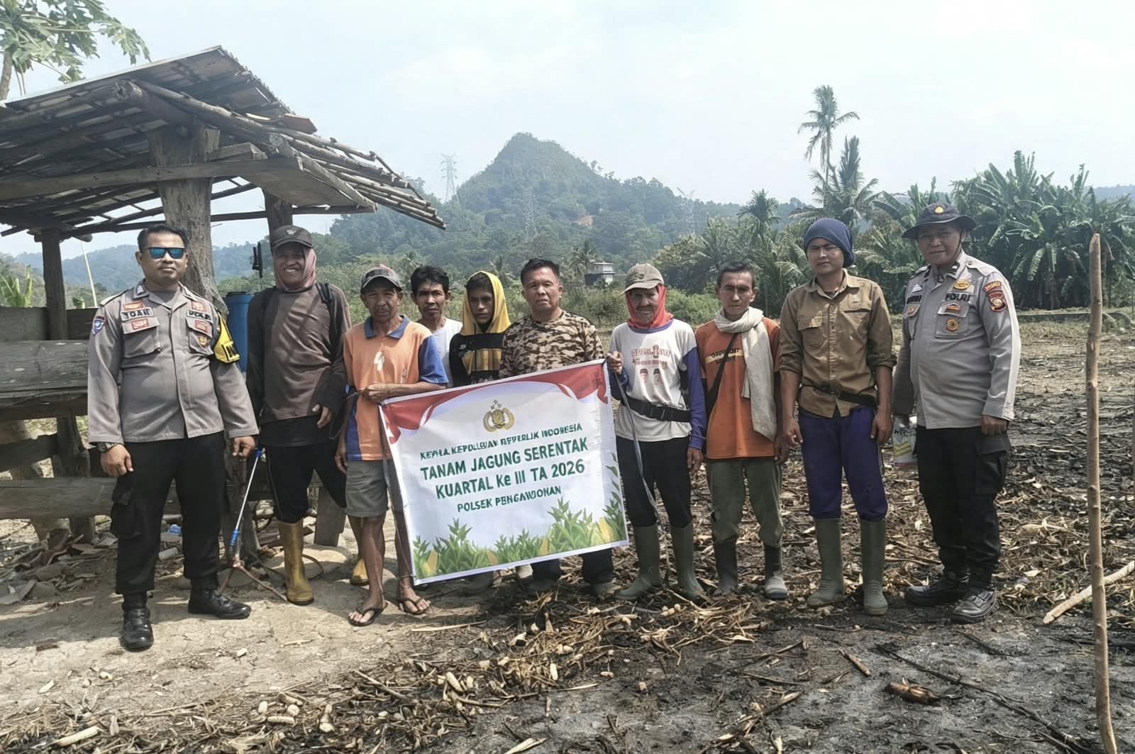 Dukung Swapada Pangan, Polsek Pengandonan Bersama PPL Tanam Jagung