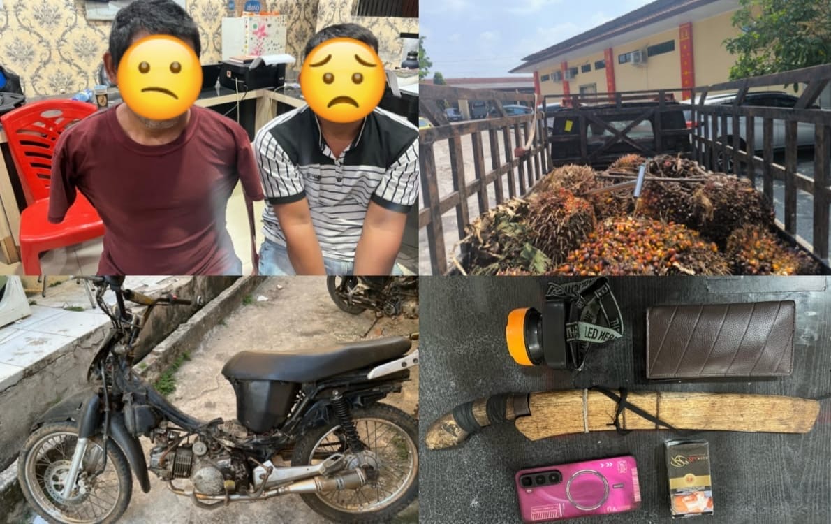 Dua Warga Ditangkap Usai Diduga Terlibat Pencurian Sawit dan Melawan Security di OKU Timur