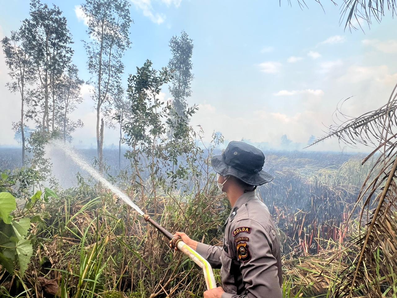 Operasi Aman Nusa II Padamkan Karhutla Seluas 9 Hektare di Sungai Menang