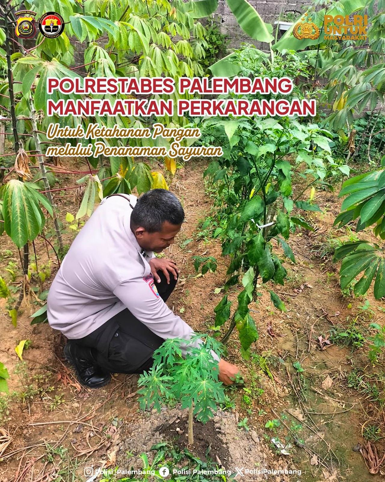Mulai dari Pekarangan, Polrestabes Palembang Gencarkan Gerakan Ketahanan Pangan untuk Masyarakat