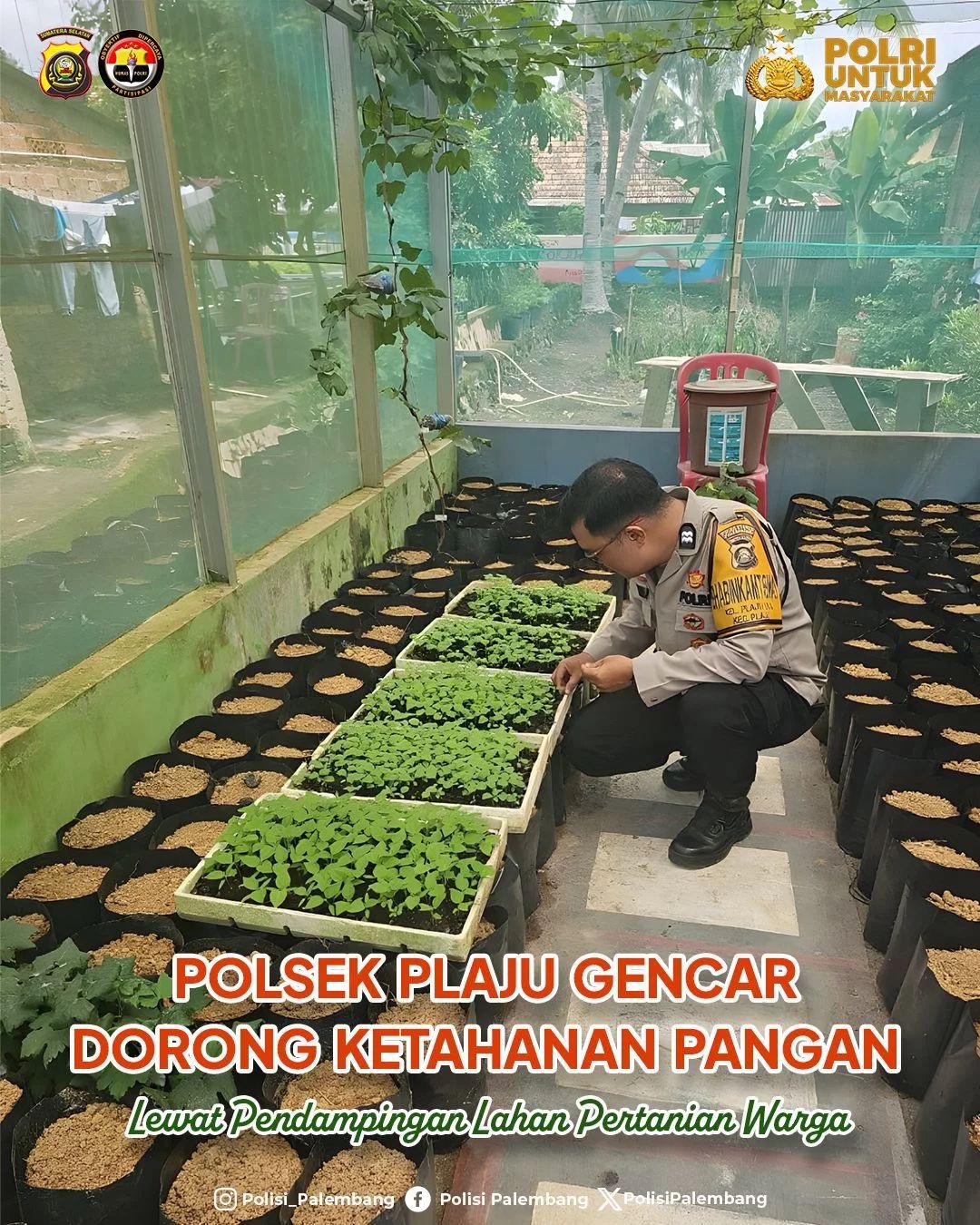 Dari Kebun Warga, Polrestabes Palembang Perkuat Ketahanan Pangan Lokal