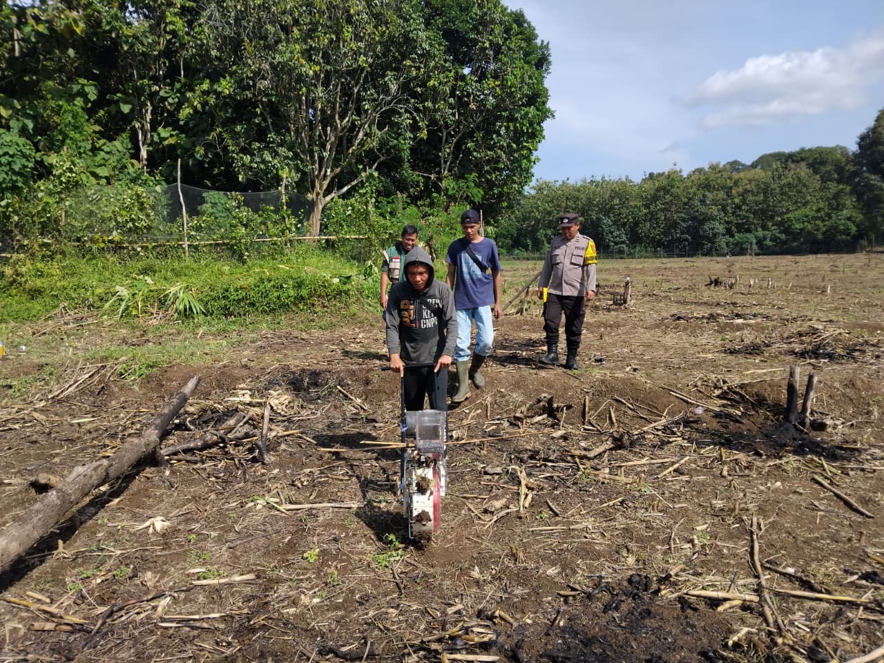 Dukung Ketahanan Pangan Nasional, Desa Sukamerindu Semidang Aji Tanam Jagung Seluas 2 Hektare