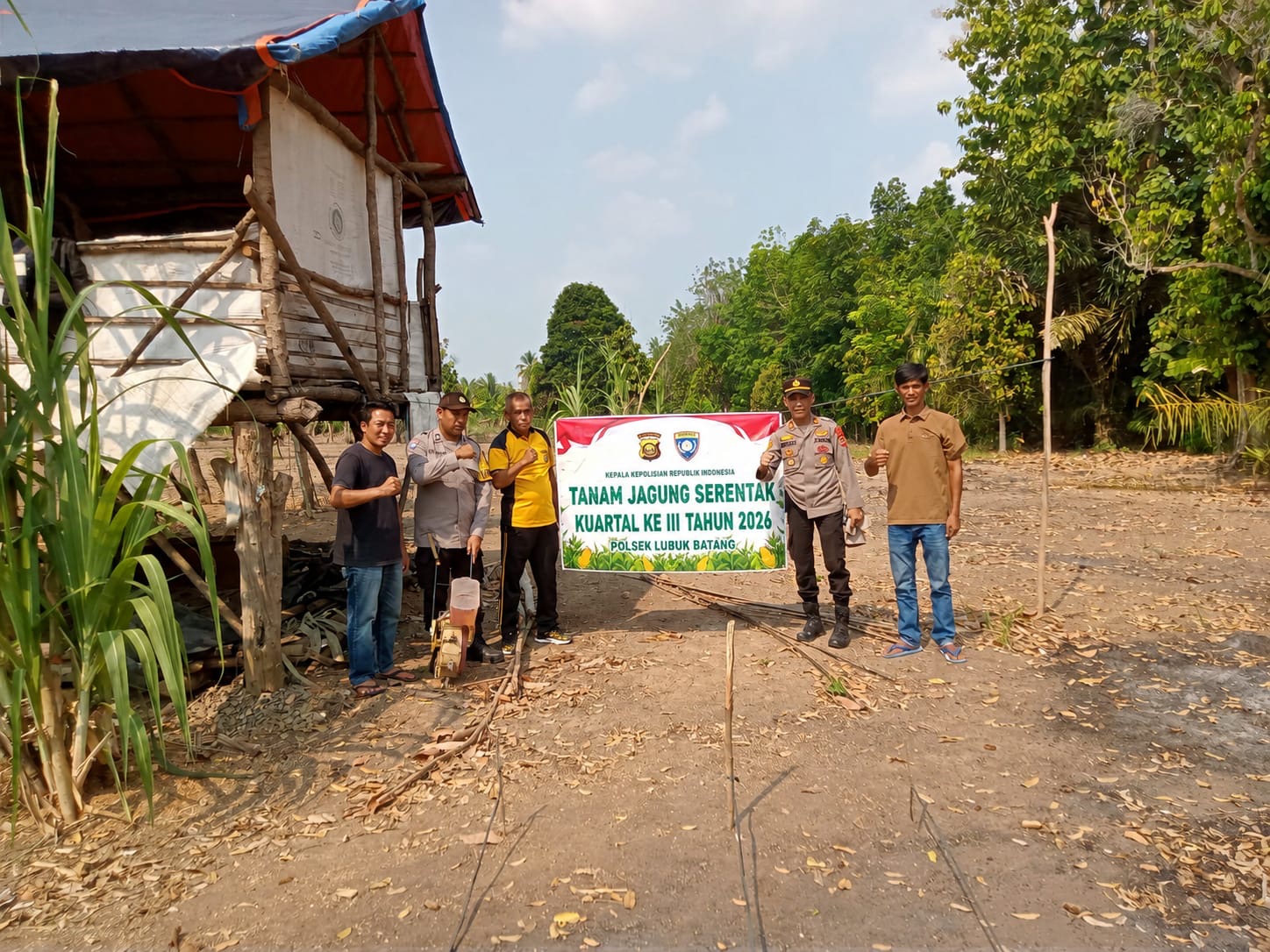 Polsek Lubuk Batang Dukung Ketahanan Pangan, Tanam Jagung di Lahan Seluas 3 Hektare