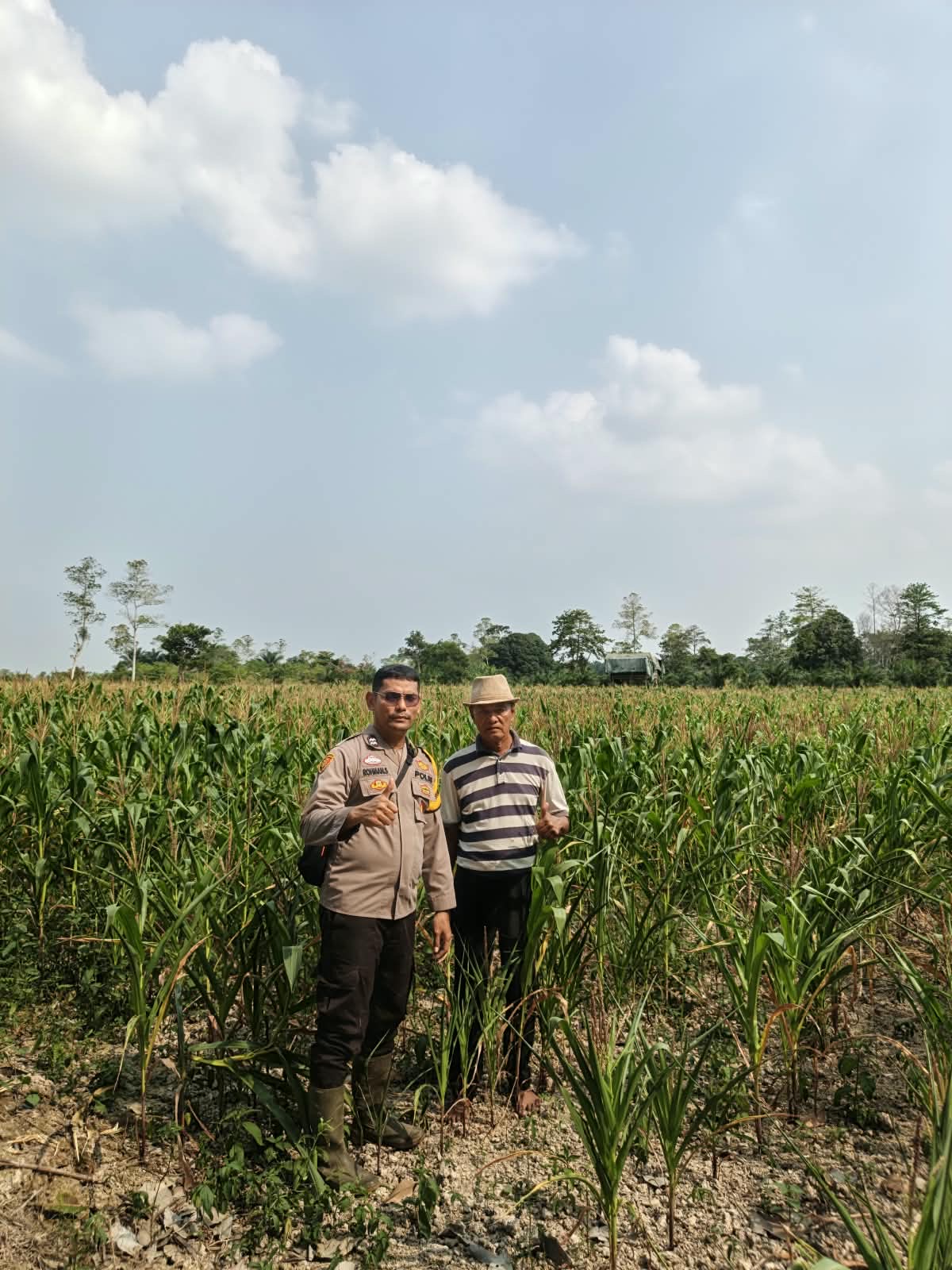 Dukung Ketahanan Pangan, Polsek Pemulutan Monitor Perkembangan Tanaman Jagung di Desa Ulak Kembahang I