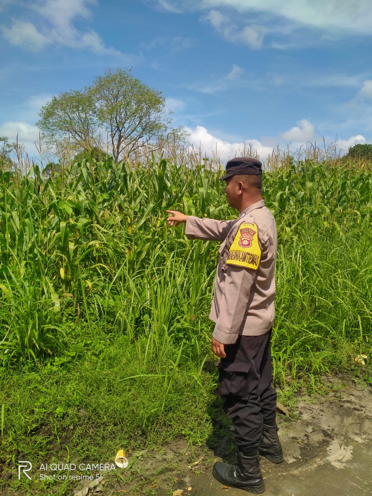 Polres Ogan Ilir melalui Polsek Tanjung Batu Monitoring Lahan Jagung, Perkuat Ketahanan Pangan Masyarakat