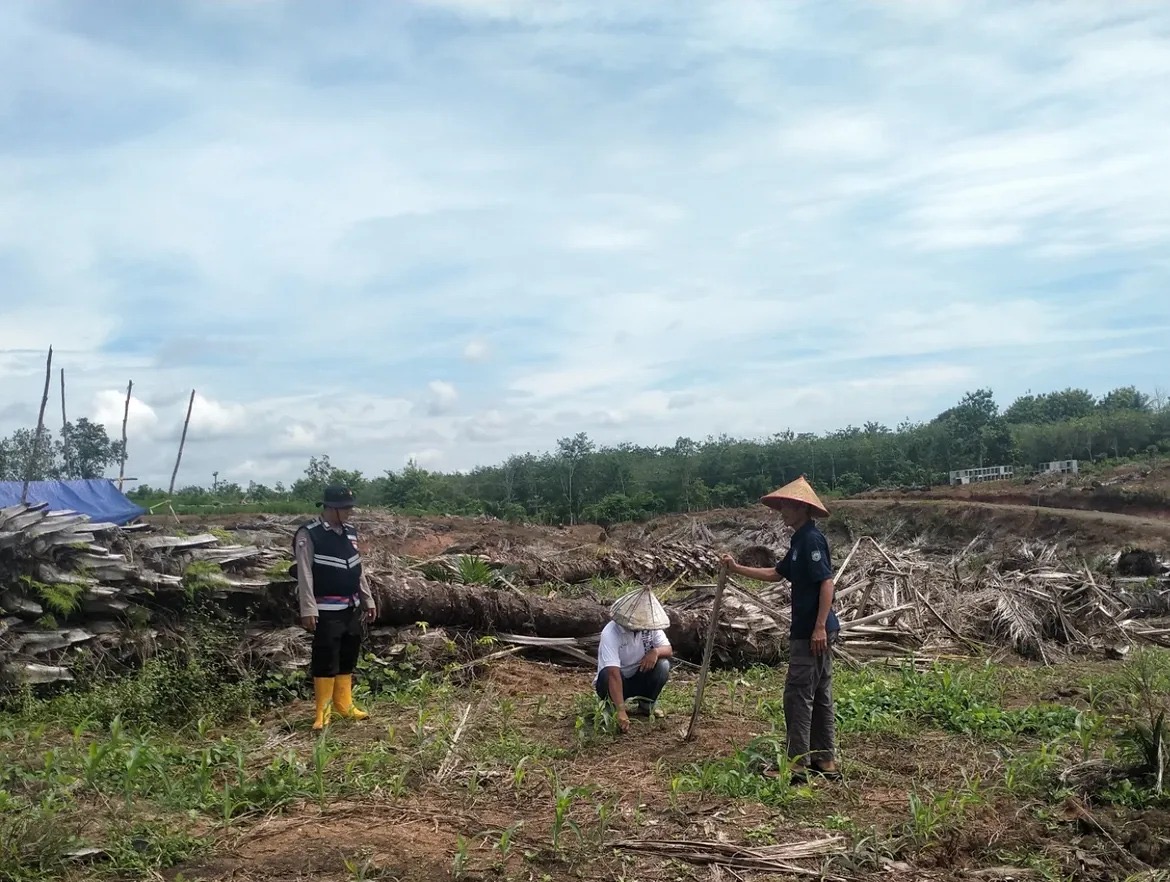 Bhabinkamtibmas Polsek Sosoh Buay Rayap Sambangi Kebun Jagung Warga, Dukung Program Swasembada Pangan
