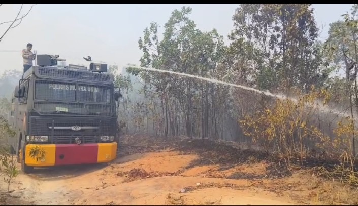 Gerak Cepat Tim Karhutla Muara Enim Berbuah Manis, Api Lahap 1 Hektare Lahan Berhasil Dijinakkan