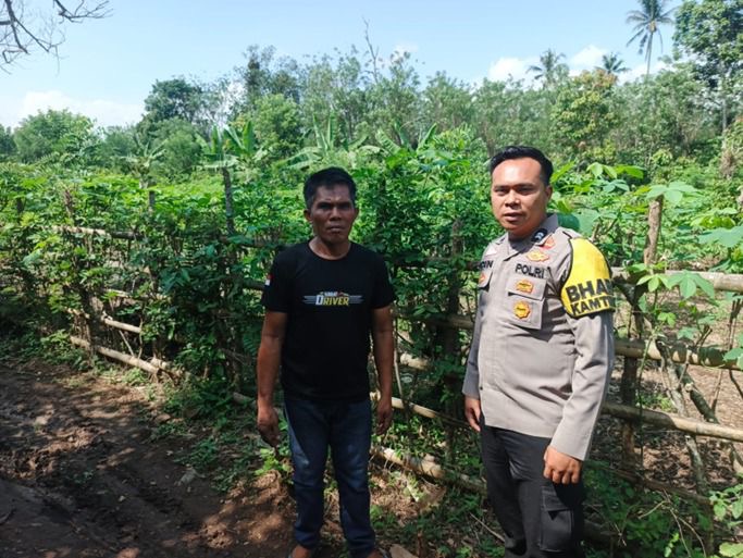 Dukung Ketahanan Pangan Nasional, Bhabinkamtibmas Polsek Muara Pinang Pantau Kebun Kangkung Warga Desa Talang Benteng