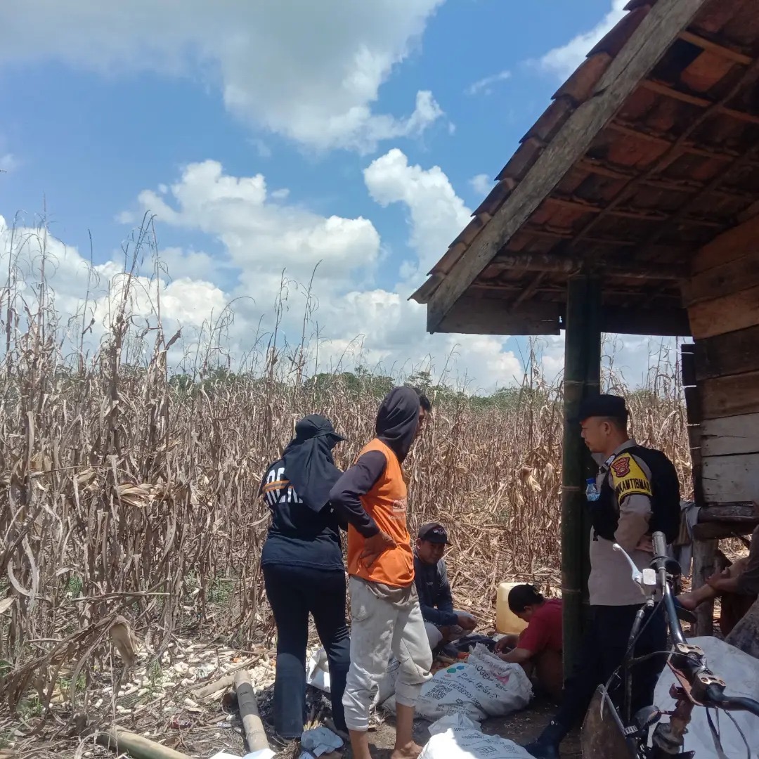 Bhabinkamtibmas Polsek Sosoh Buay Rayap Polres OKU Sambangi Dan Cek Kebun Jagung Warga Binaan