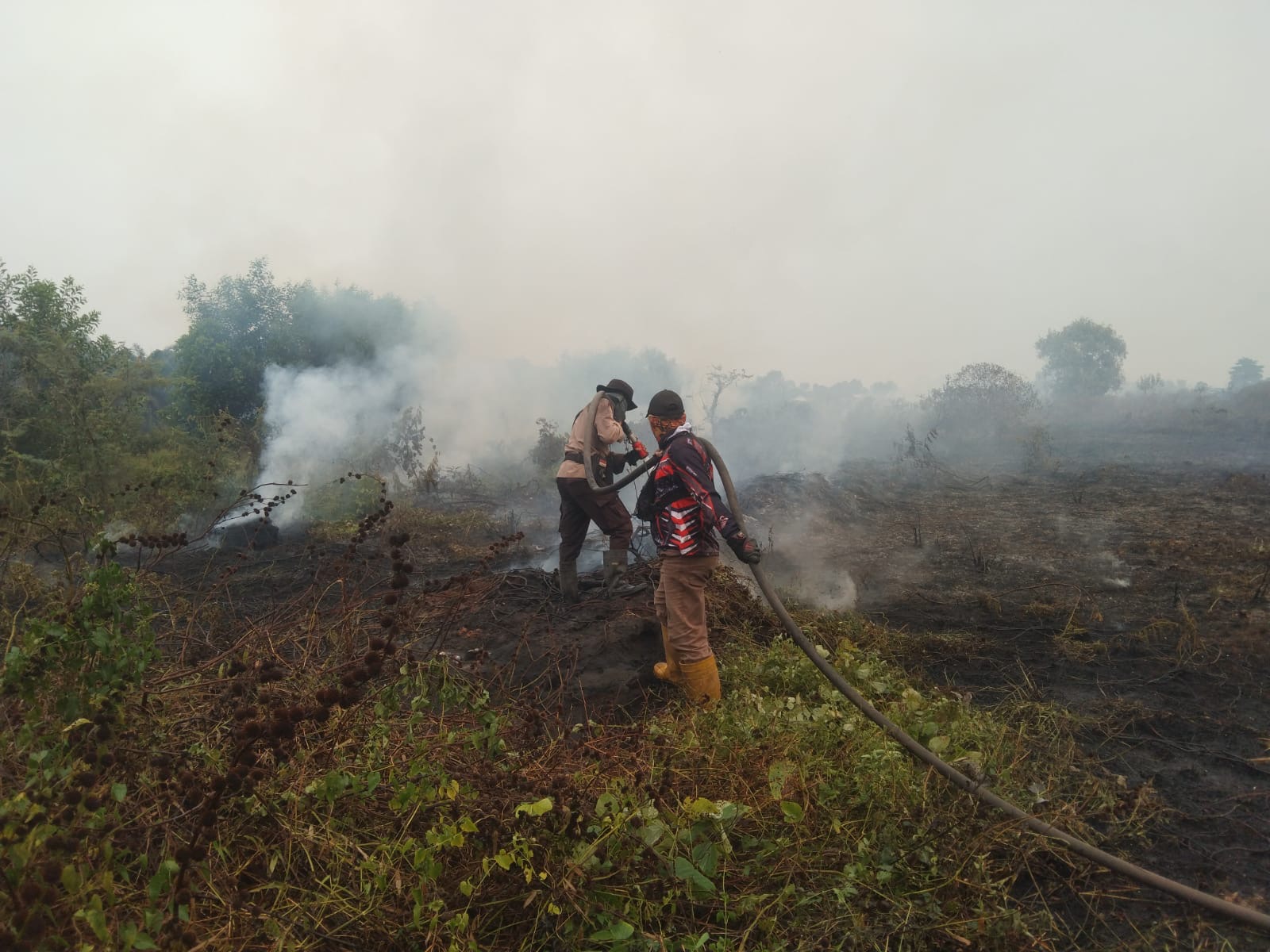 Polisi Bersama MPA Padamkan Karhutla di Desa Sungai Pinang, Api Berhasil Dikendalikan