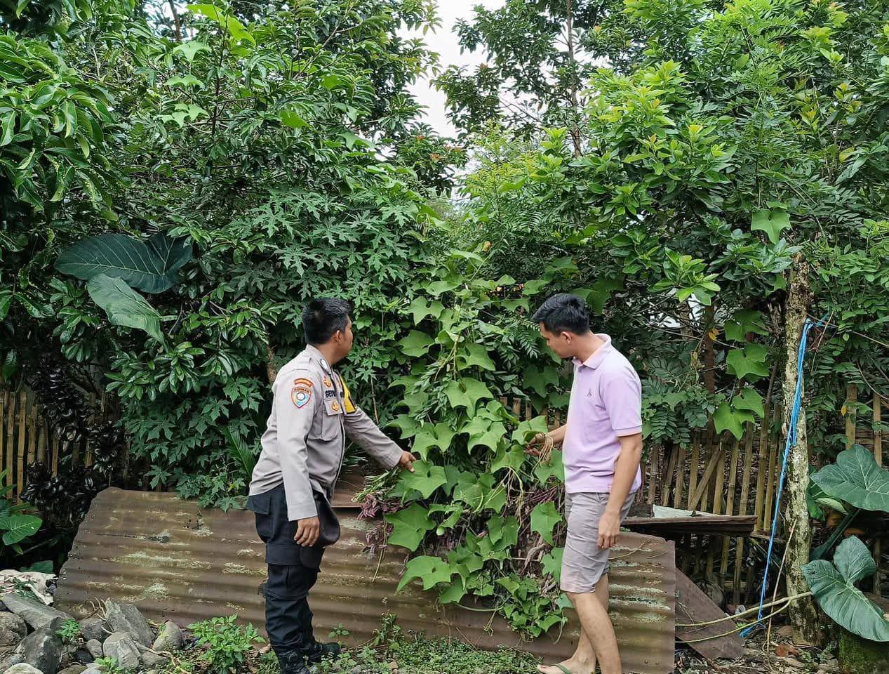 Polsek Dempo Utara Dorong Ketahanan Pangan Lewat Budidaya Cabai dan Kacang Panjang
