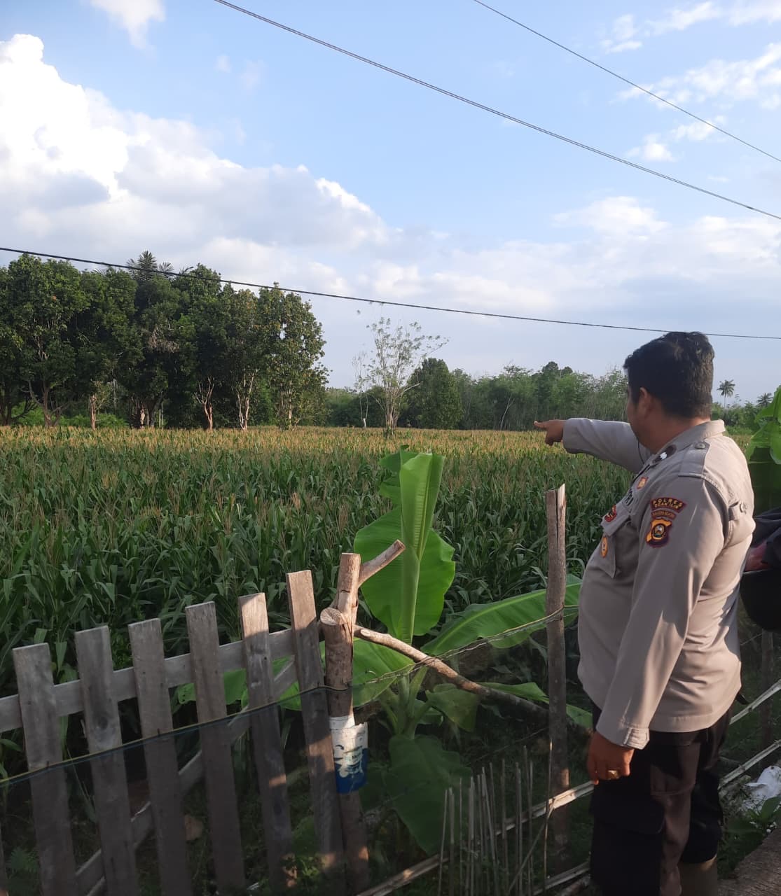 Polsek Muara Ogan ilir Kuang Dorong Ketahanan Pangan melalui Monitoring Lahan Jagung