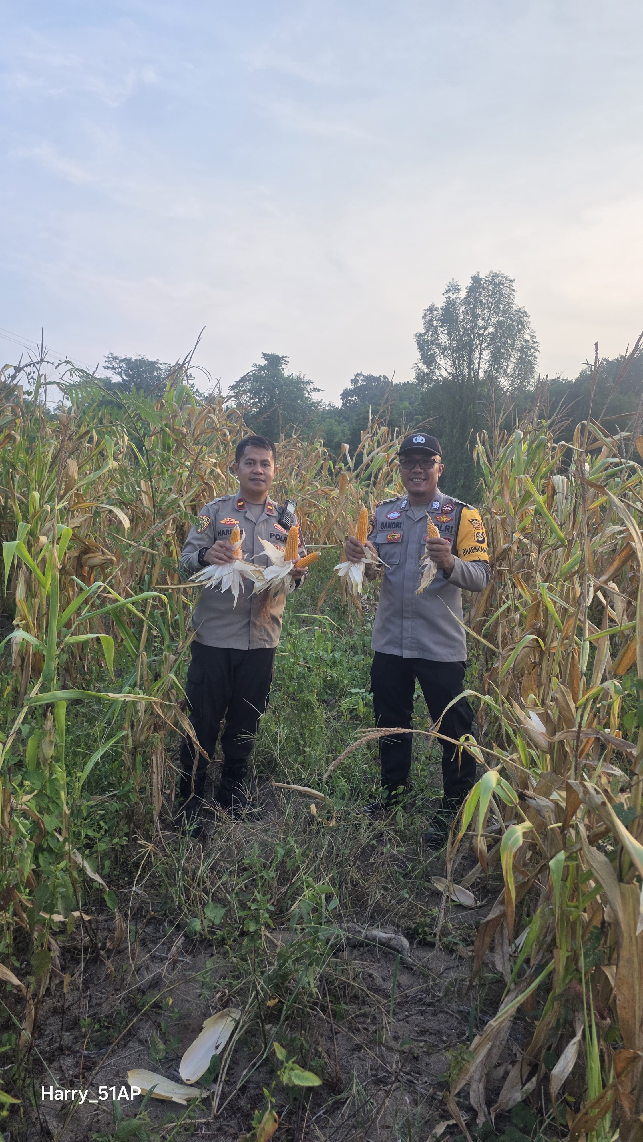 *Polsek Muara Kuang Monitoring Lahan Jagung, Dukung Program Ketahanan Pangan Nasional*