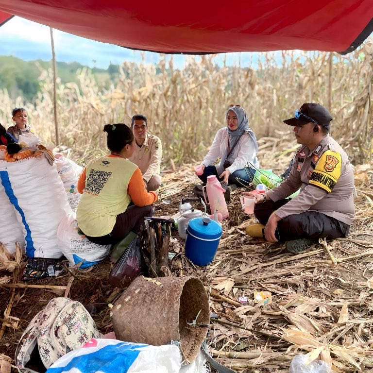 Bhabinkamtibmas Polsek Sosoh Buay Rayap Monitoring Hasil Panen Jagung dalam Program Ketahanan Pangan