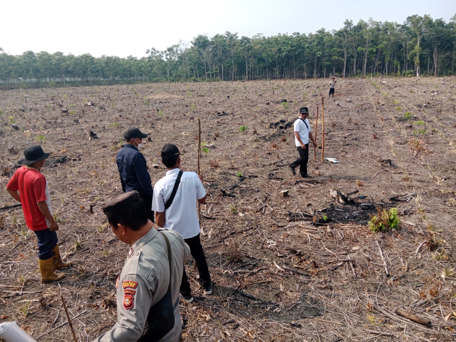 Dari Embacang Kelekar, Polsek Gelumbang Pacu Swasembada Pangan: 2 Hektare Jagung Mulai Ditanam
