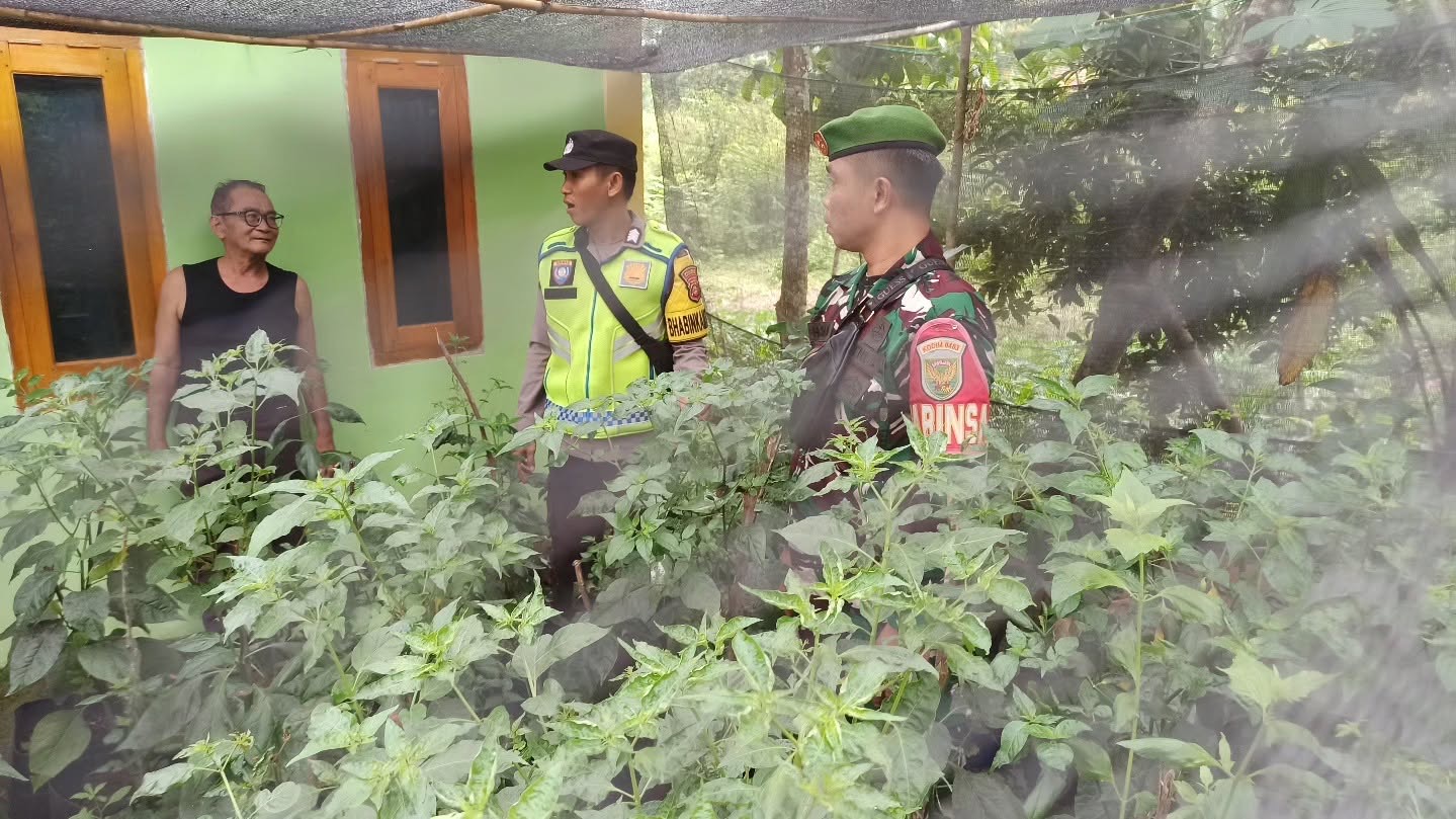 Sinergi Bhabinkamtibmas dan Babinsa Dukung Ketahanan Pangan Warga melalui Pemanfaatan Pekarangan Rumah