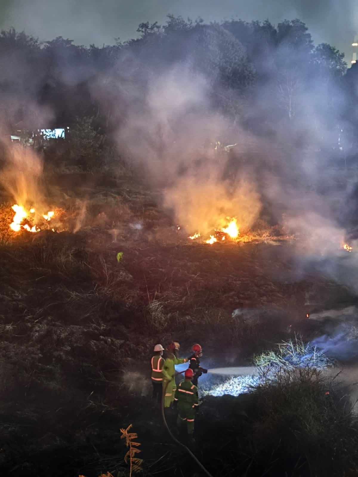 Kemarau Panjang Bikin Lahan Belukar Mengering, Api Muncul di Dekat Rel Lama PTBA Lawang Kidul