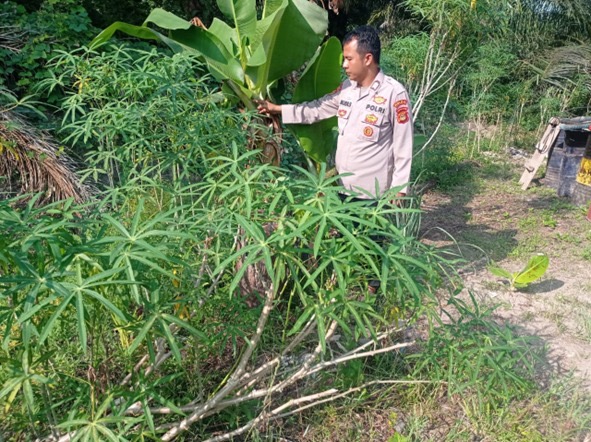 Dukung Ketahanan Pangan, Bhabinkamtibmas Polsek Ulu Musi Cek Pekarangan Bergizi Warga Desa Batu Lintang