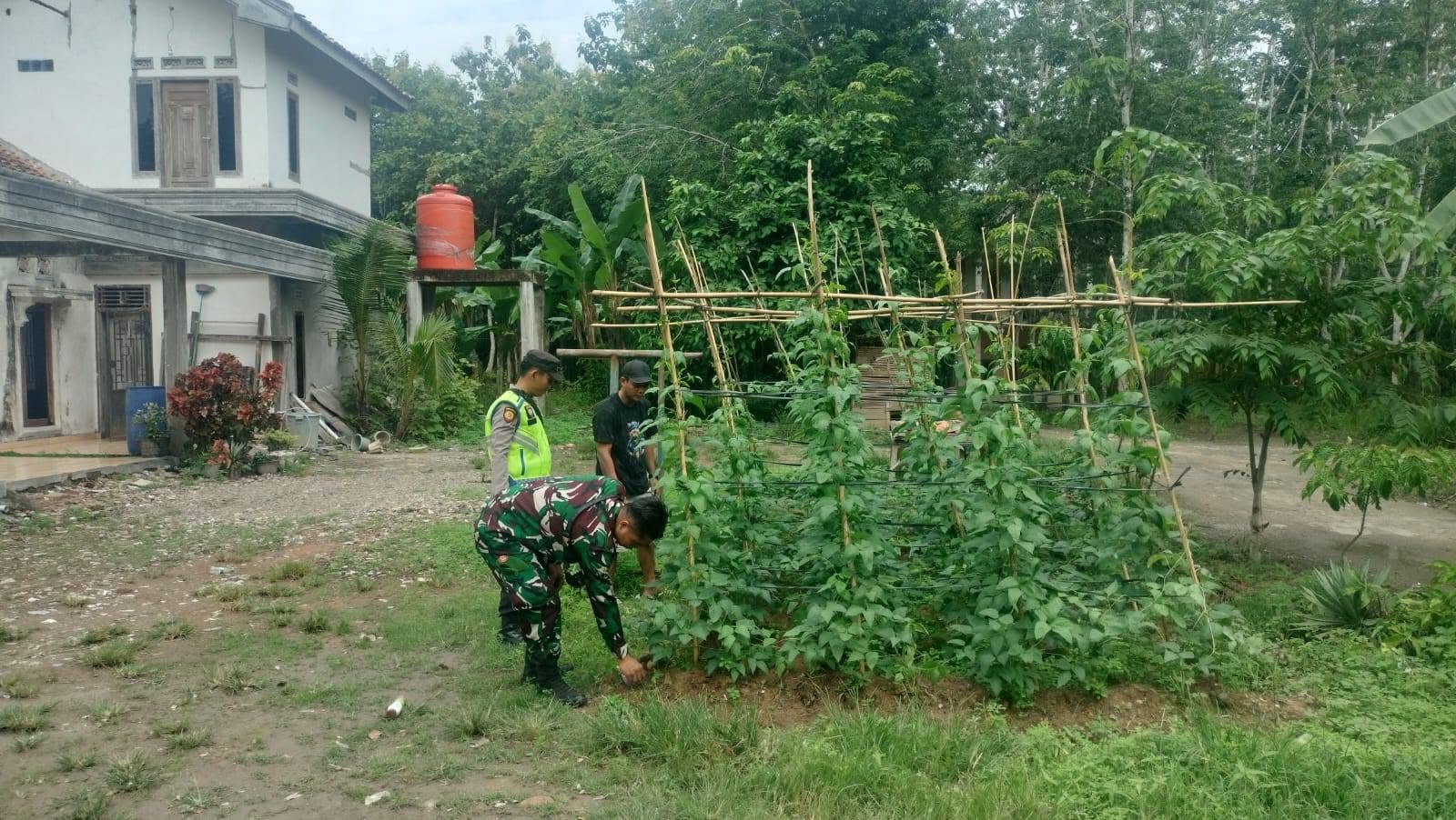 Polri Dukung Budidaya Ketahanan Pangan di Pekarangan Rumah, Bhabinkamtibmas dan Babinsa Bersinergi Wujudkan Swasembada Pangan