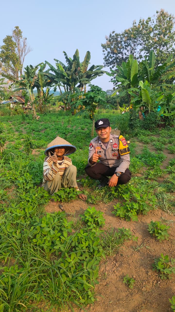 Dukung Ketahanan Pangan, Bhabinkamtibmas Polsek Tebing Tinggi Cek Pekarangan Bergizi Warga Desa Tanjung Kupang Baru