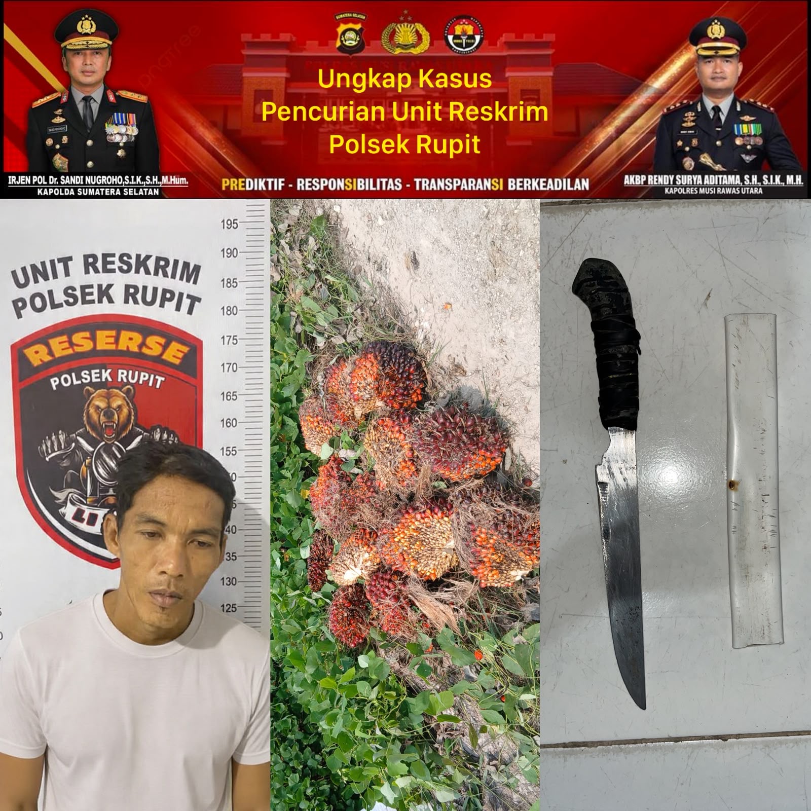 Polsek Rupit Ungkap Pencurian 13 Janjang Sawit, Pelaku Diamankan Bersama Barang Bukti