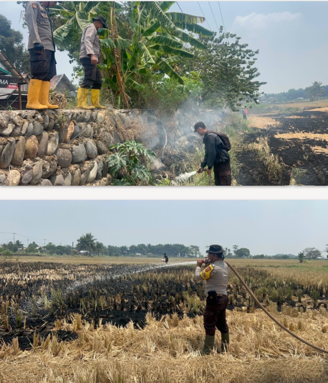 Gerak Cepat Polsek Pemulutan Ogan Ilir dan BPBD Padamkan Karhutla di Pelabuhan Dalam