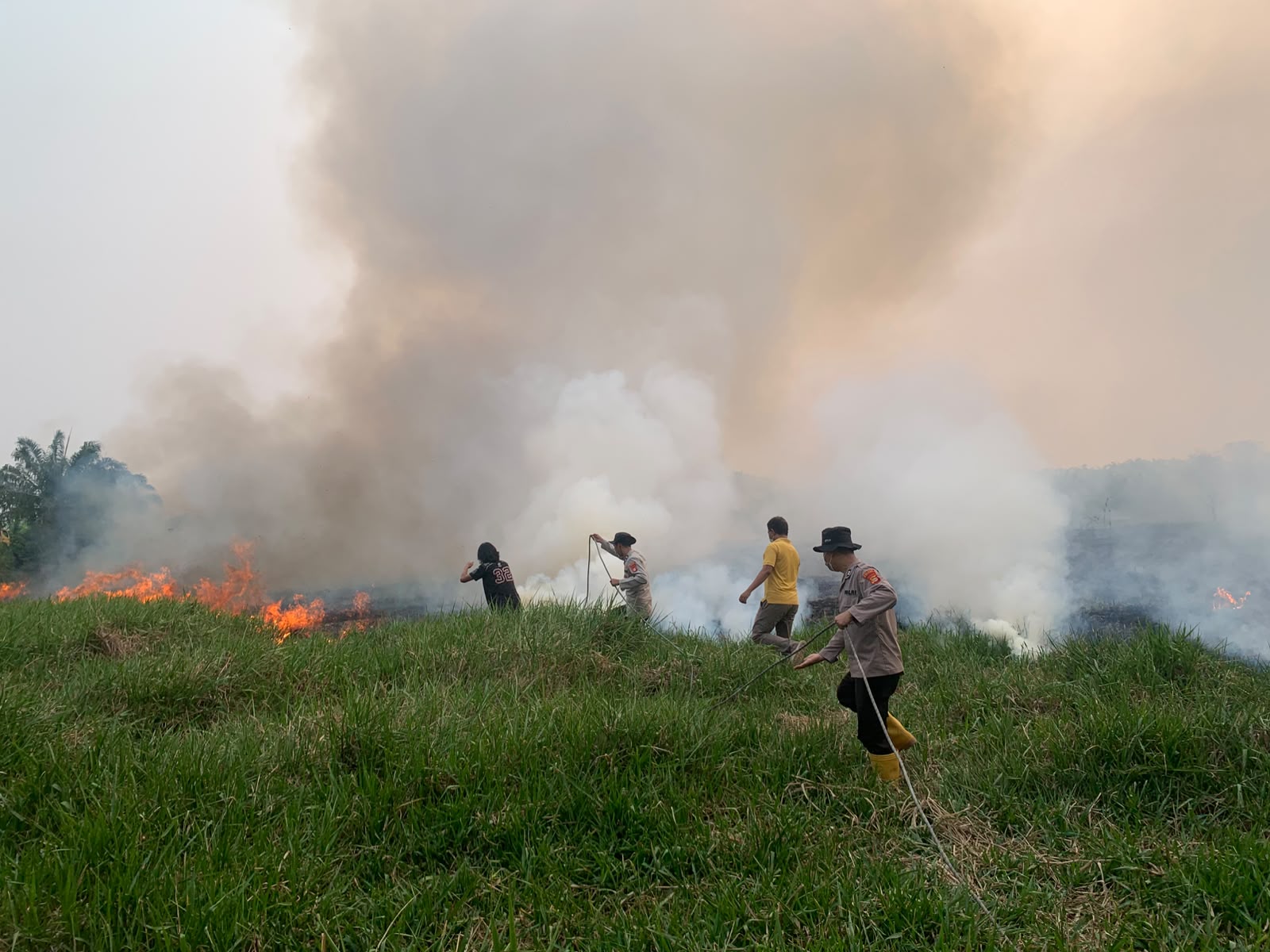 Lahan Gambut 4 Hektare Terbakar di Prabumulih II, Polsek Muara Lakitan Polres Musi Rawas Bergerak Cepat Jinakkan Api