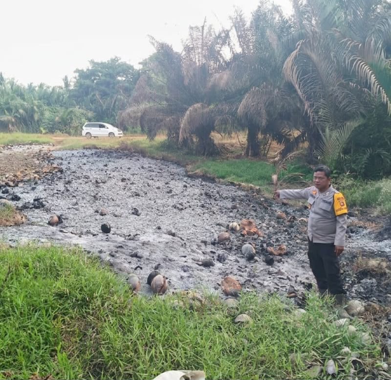 Ground Check Hotspot di Dana Mulya, Polisi Temukan Bakaran Sabut Kelapa