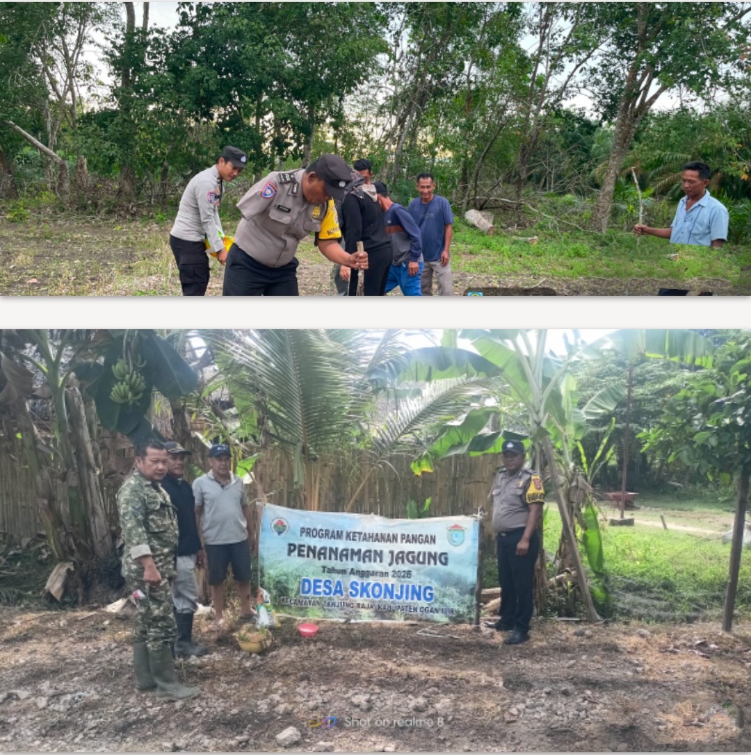 Polsek Tanjung Raja Polres Ogan Ilir Monitoring Lahan Jagung, Dukung Program Ketahanan Pangan Nasional