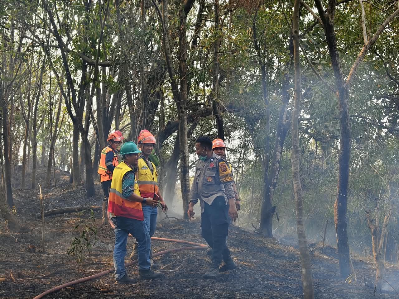 Kebakaran Lahan Belukar di Tegal Rejo Lawang Kidul, Damkar Bersama TNI-Polri dan Warga Bergerak Cepat