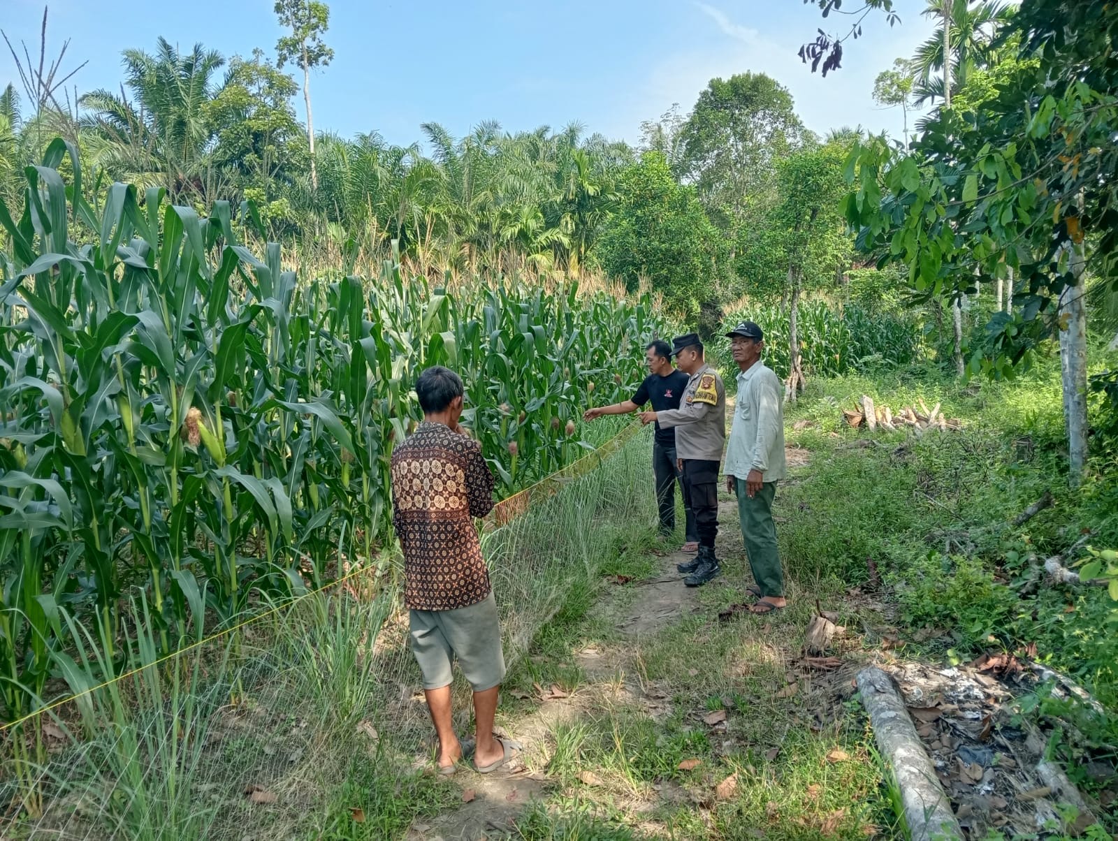 Polsek Tanjung Raja Ogan Ilir Monitoring Lahan Jagung, Dukung Program Ketahanan Pangan Nasional