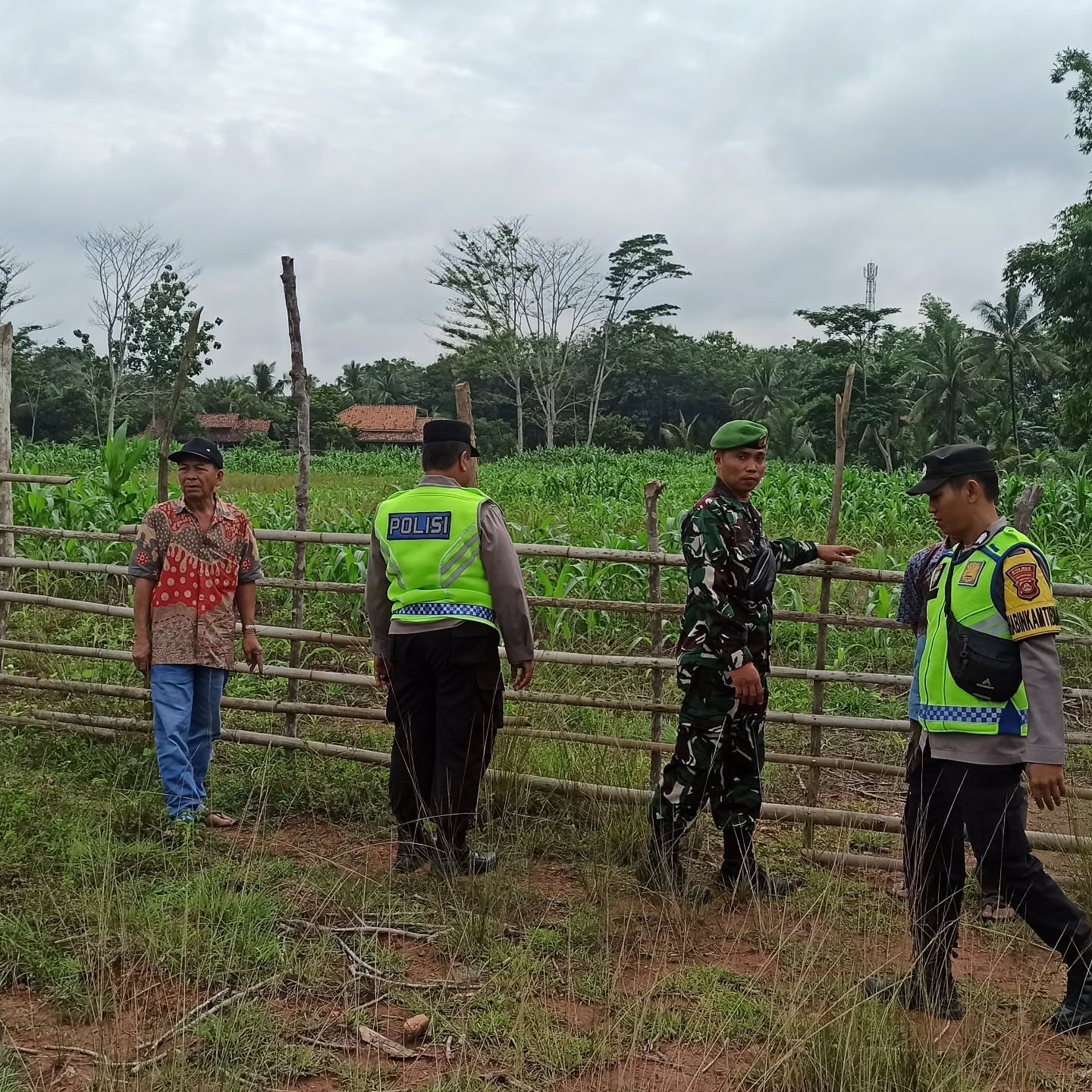 Bhabinkamtibmas Bersama Babinsa Desa Batu Putih Cek Perkembangan Tanaman Jagung Warga Binaan