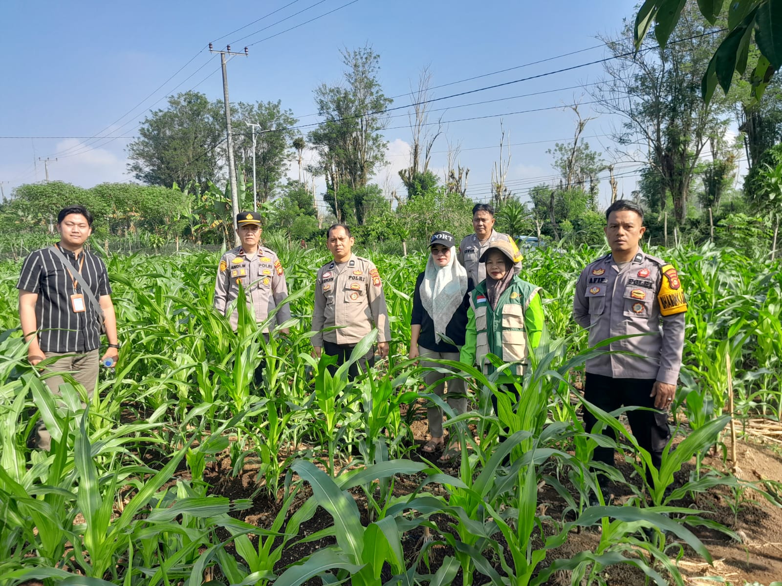 Polsek Pagar Alam Selatan Dampingi Warga Kelola Lahan Jagung untuk Perkuat Ketahanan Pangan