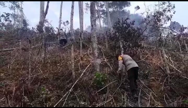 Polsek Dempo Utara Bersama Warga Berjibaku Padamkan Kebakaran Lahan di Bukit Talang Beruk