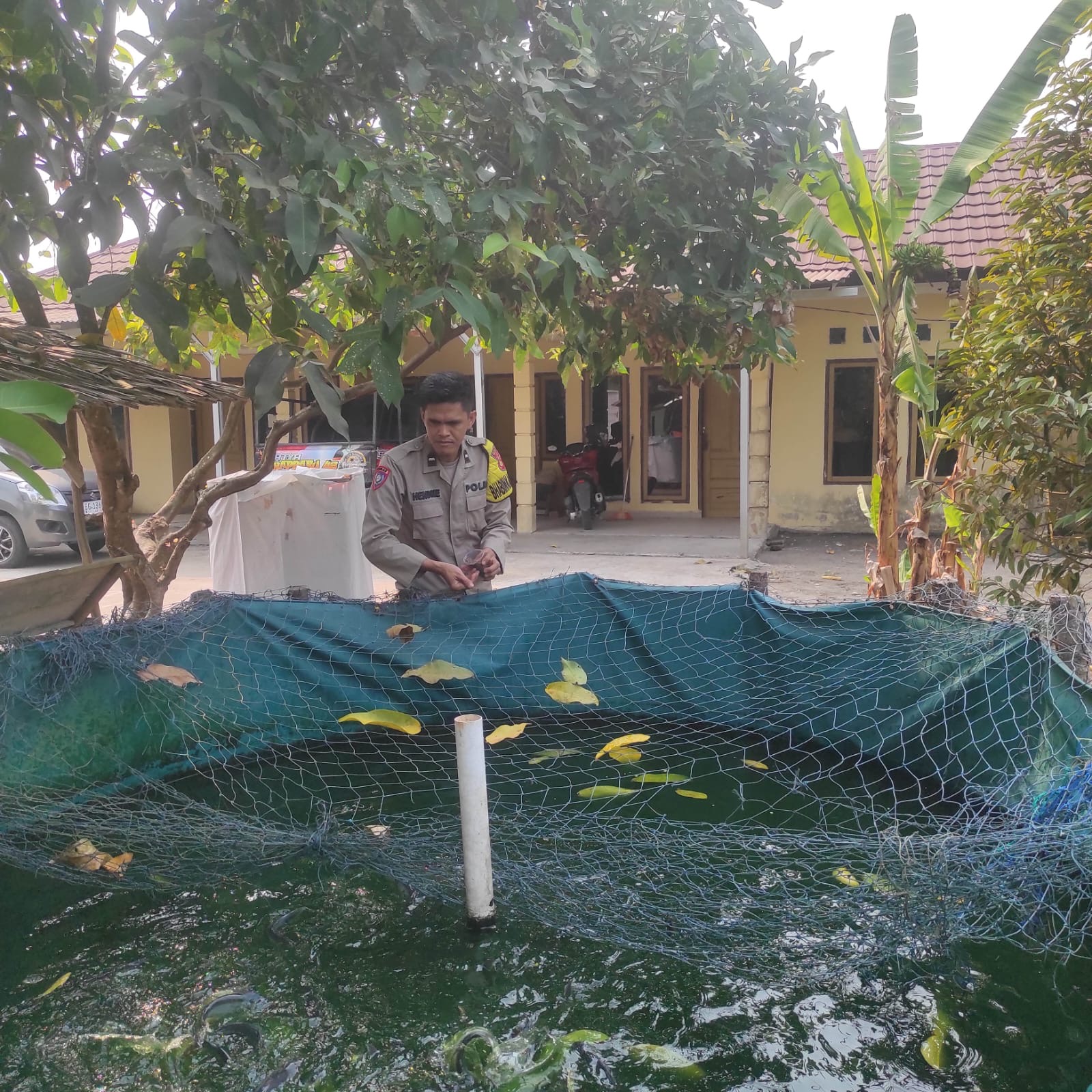 *Dukung Ketahanan Pangan, Polsek Rantau Alai Monitoring Budidaya Ikan Patin*