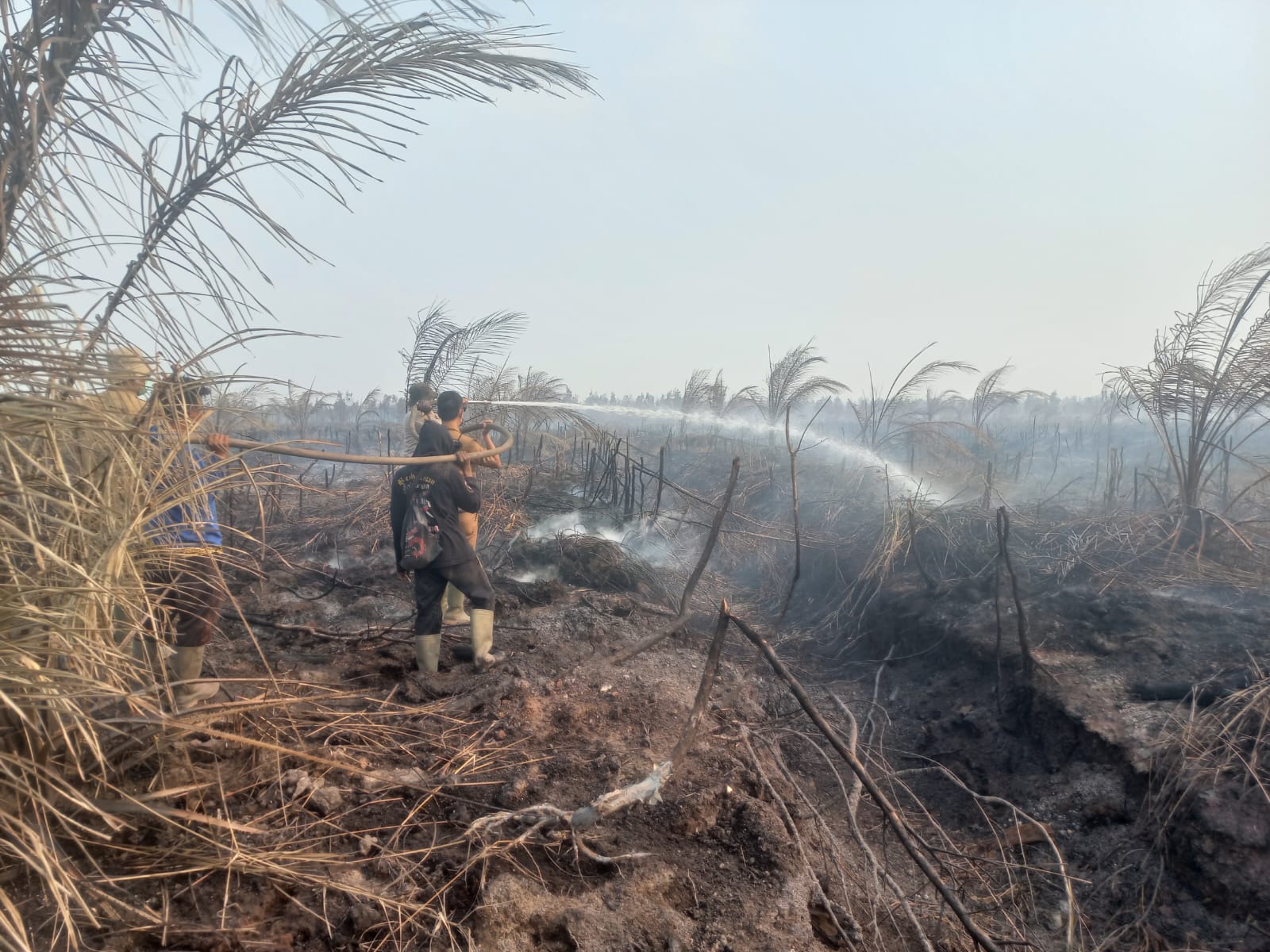 Perkuat Deteksi Dini Karhutla, Polsek Cengal Pantau Lahan Rawan