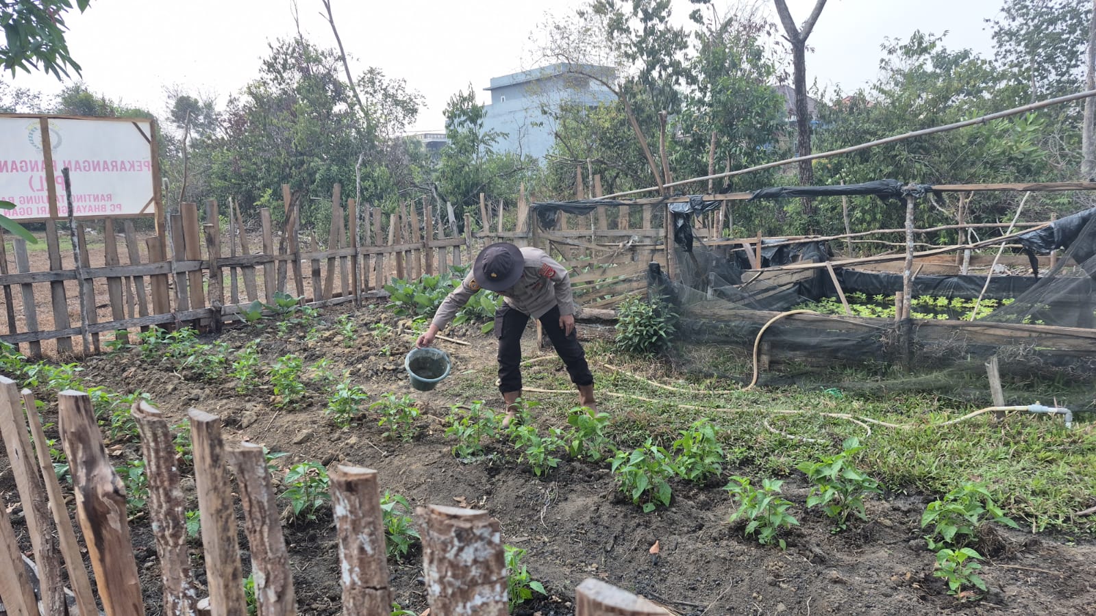 Polsek Tanjung Batu Ogan Ilir Monitoring Lahan Pekarangan, Dukung Ketahanan Pangan
