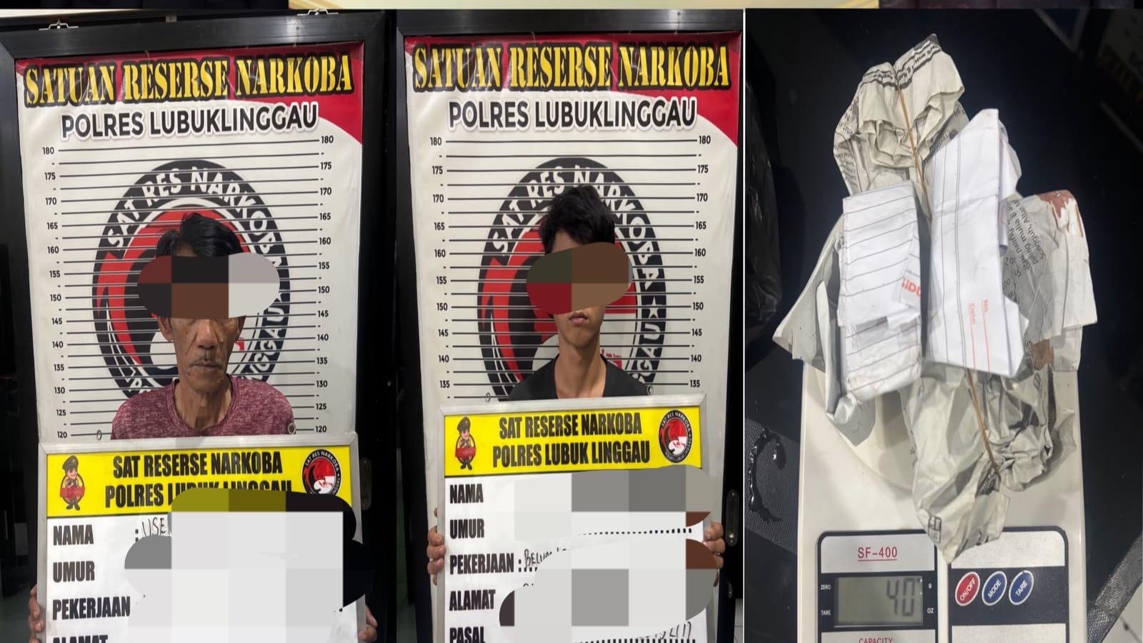 Ganja Disembunyikan di Bawah Pohon Pisang, Satresnarkoba Polres Lubuk Linggau Ringkus Dua Tersangka