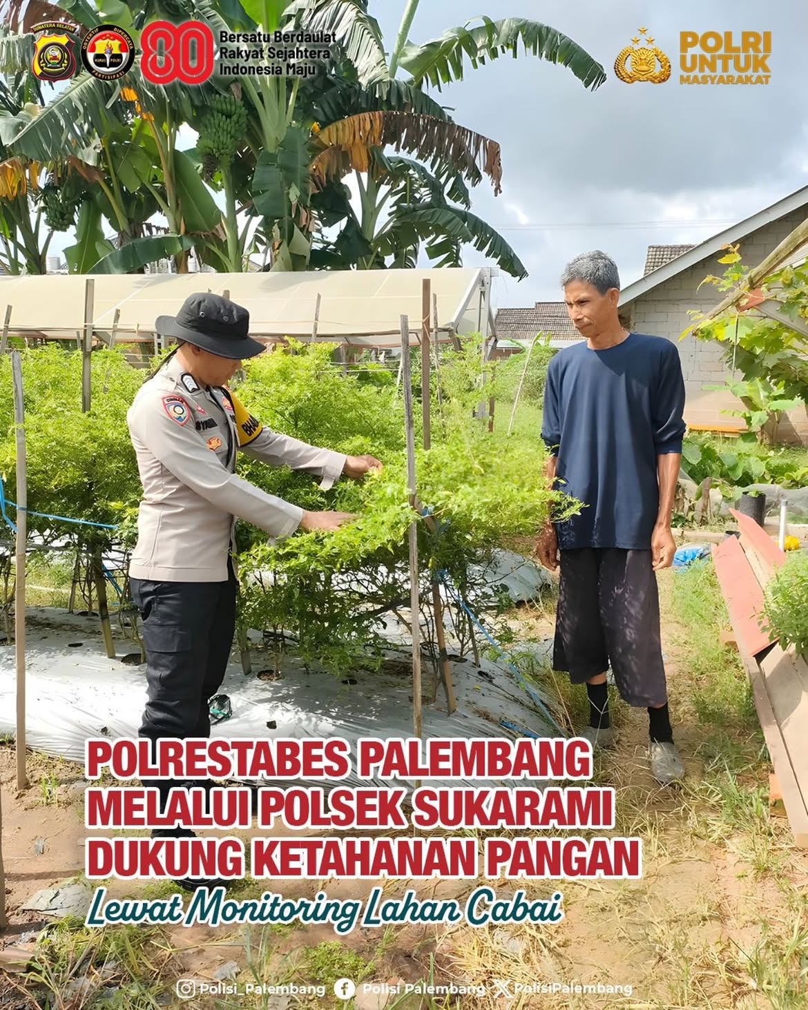Bhabinkamtibmas Hadir di Tengah Petani Cabai, Dukung Ketahanan Pangan di Sukarami