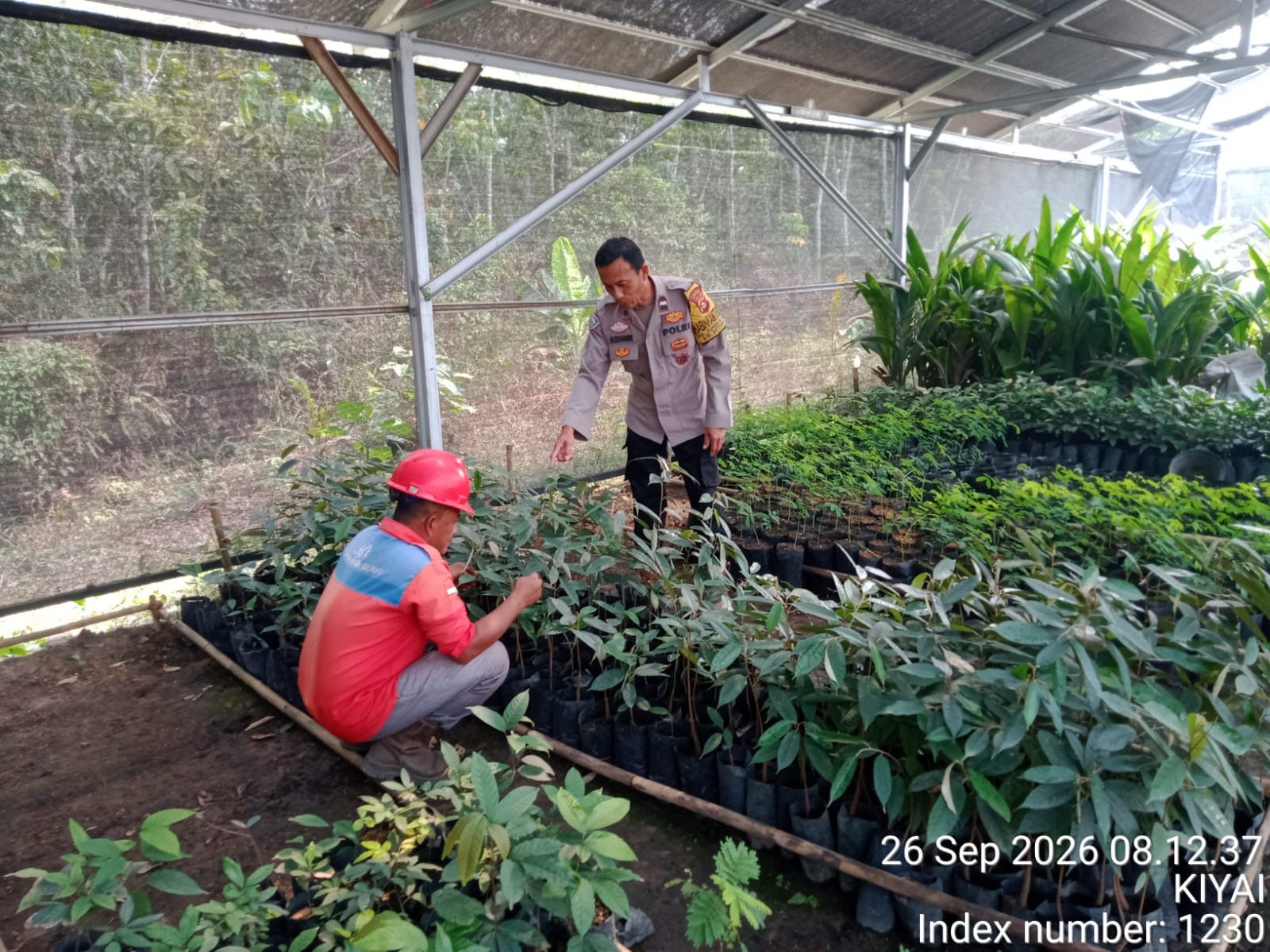 Dorong Swasembada Pangan, Bhabinkamtibmas Polsek Betung Ajak Warga Jalankan Program P2B