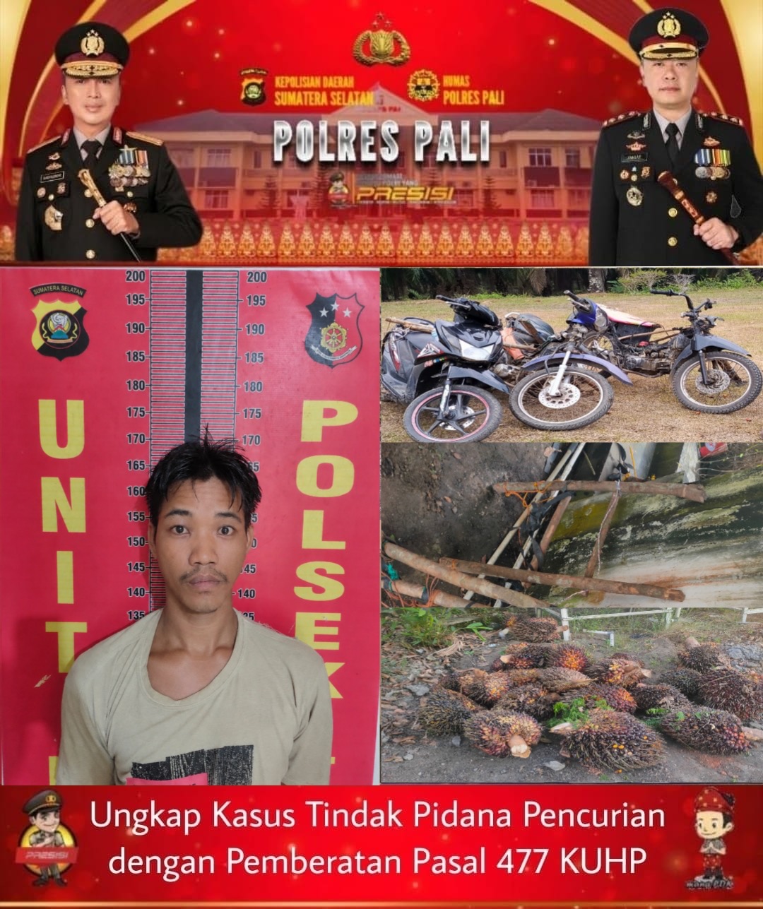 Operasi Sikat Musi 2026, Polsek Talang Ubi Amankan Terduga Pelaku Pencurian 22 Tandan Sawit