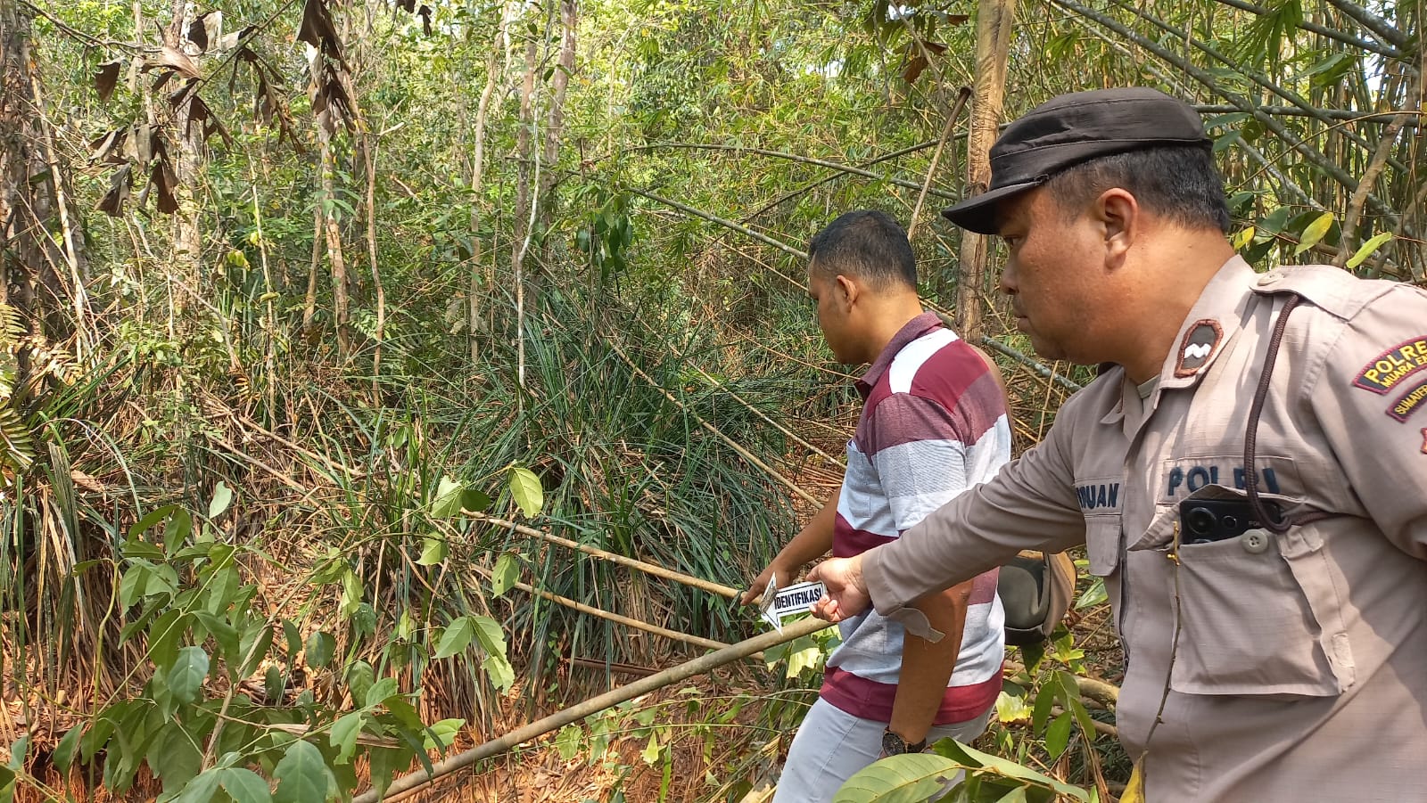 Viral di Medsos, Diduga Beruang Hitam Muncul Dua Hari di Sungai Rambang Muara Enim