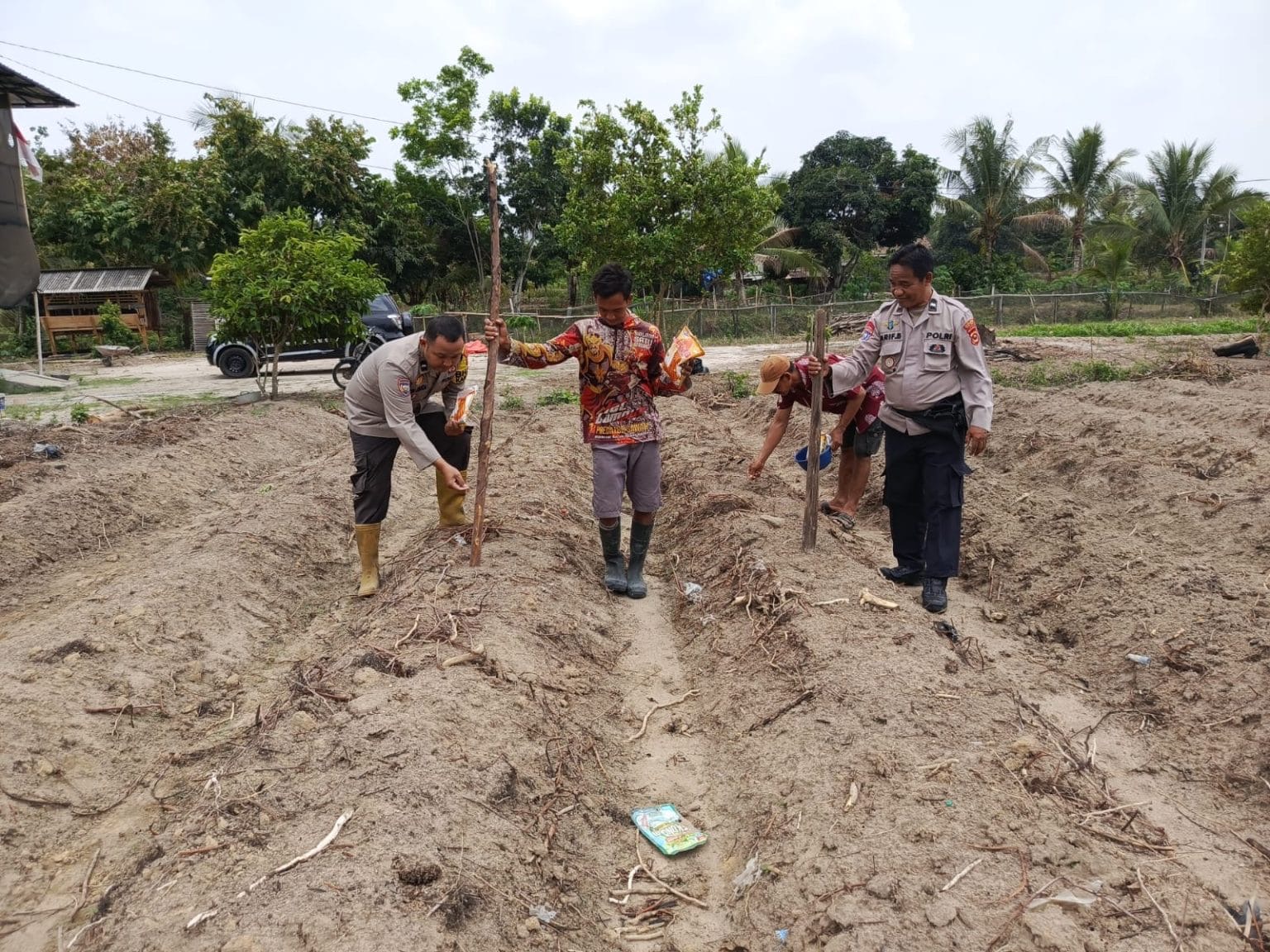 Dukung Ketahanan Pangan, Polsek Madang Suku I Dampingi Penanaman Jagung 1 Hektare di Lubuk Harjo