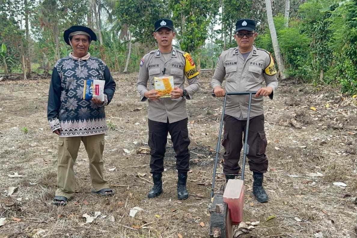 Polsek BP Peliung Dampingi Penanaman Jagung Hibrida di Lahan Kelompok Tani Negeri Agung