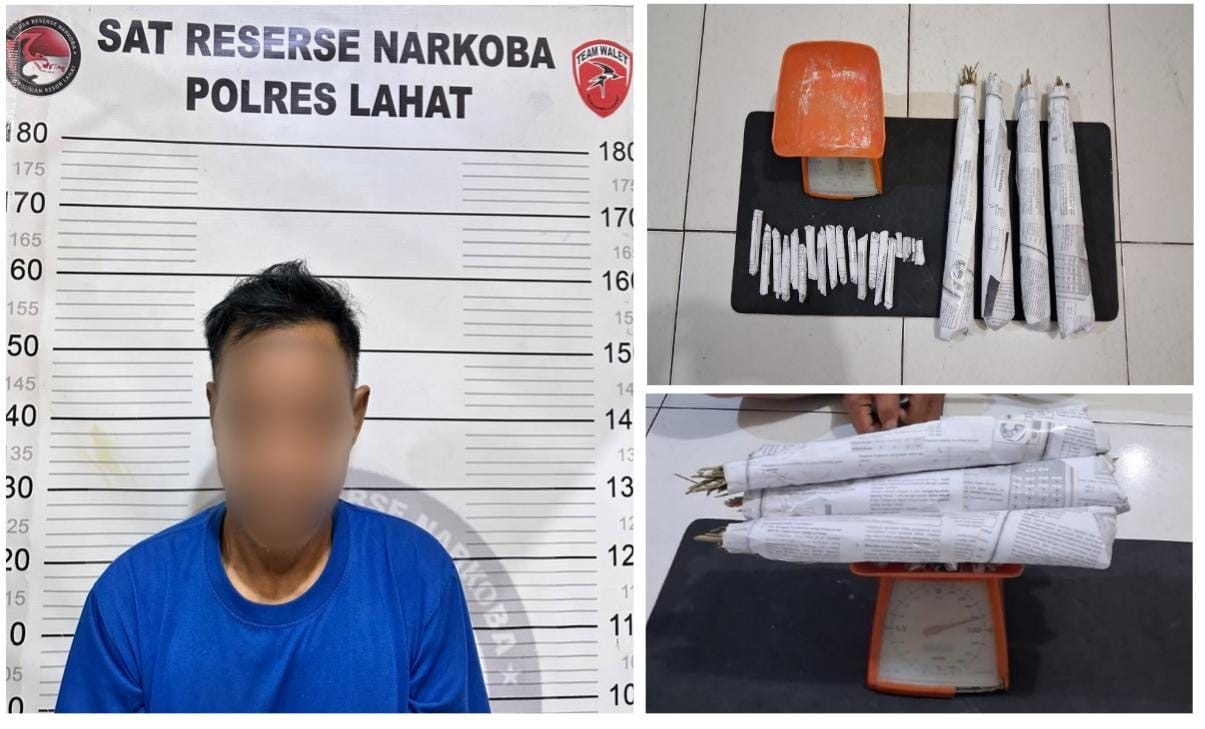 Satresnarkoba Polres Lahat Ungkap Kasus Dugaan Peredaran Ganja di Kikim Selatan, Amankan 22 Paket