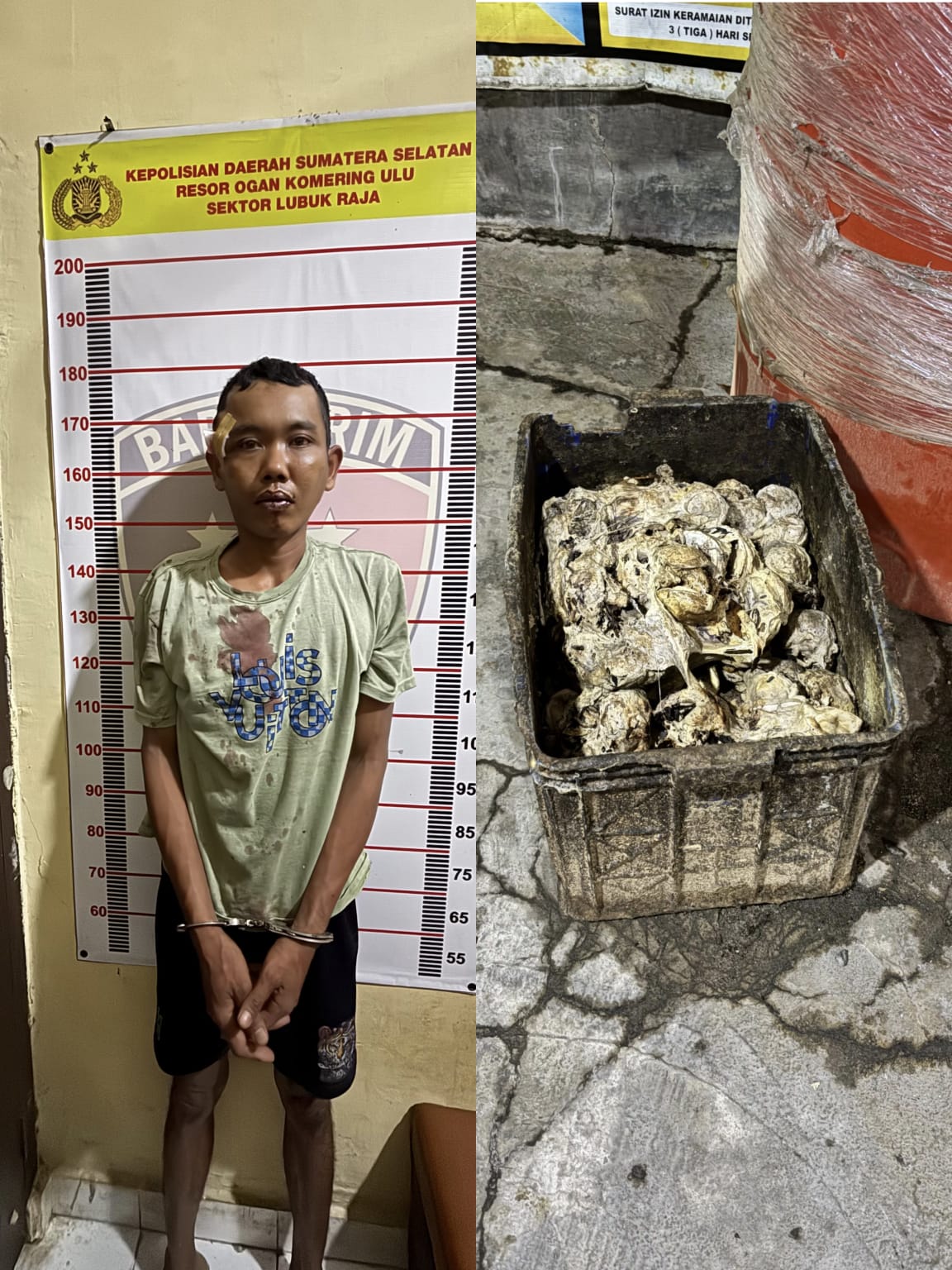 Ops Sikat Musi I Polres OKU, Polisi Amankan Terduga Pelaku Pencurian Getah Karet di Lubuk Raja