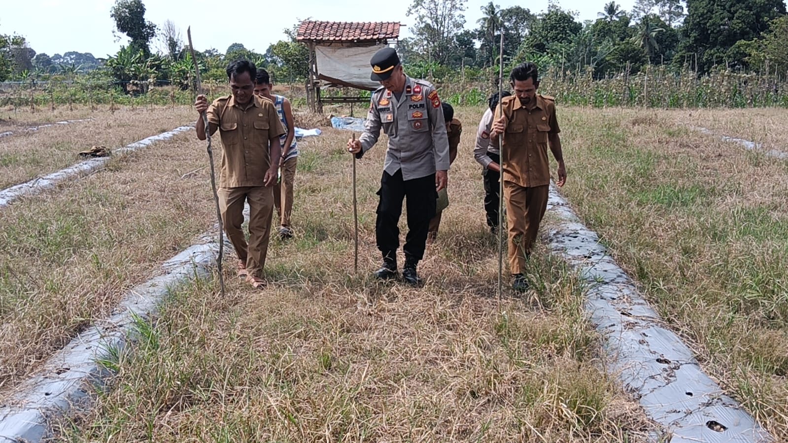 Manfaatkan Lahan Kosong, Polsek Rambang Niru Bersama Warga Tanam Jagung Dukung Ketahanan Pangan Nasional
